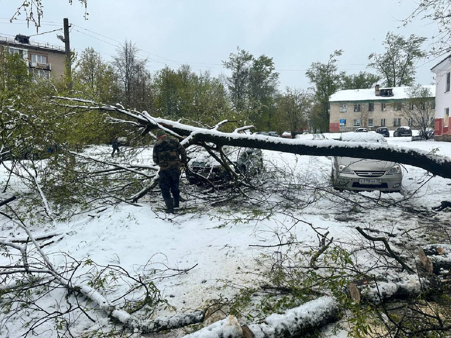красноармейск, городской округ пушкинский, скандинавский циклон, майский снег, ликвидация последствий непогоды,