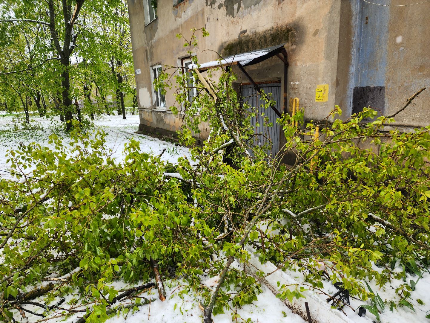 красноармейск, городской округ пушкинский, скандинавский циклон, майский снег, ликвидация последствий непогоды,