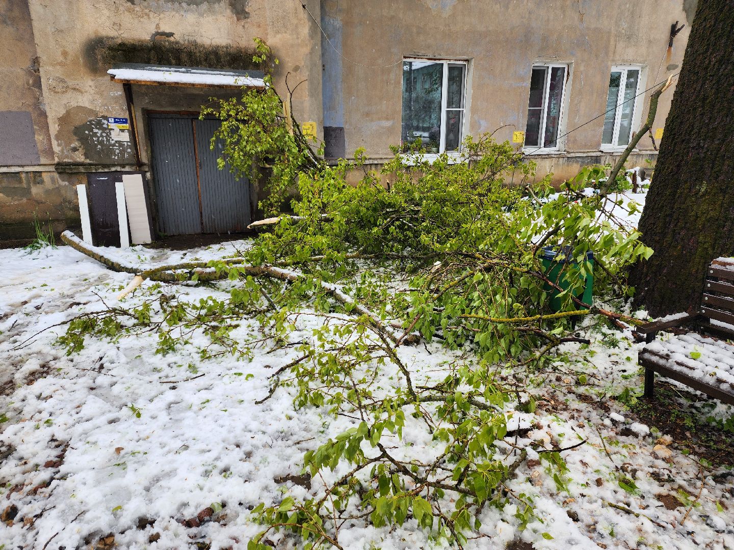 красноармейск, городской округ пушкинский, скандинавский циклон, майский снег, ликвидация последствий непогоды,
