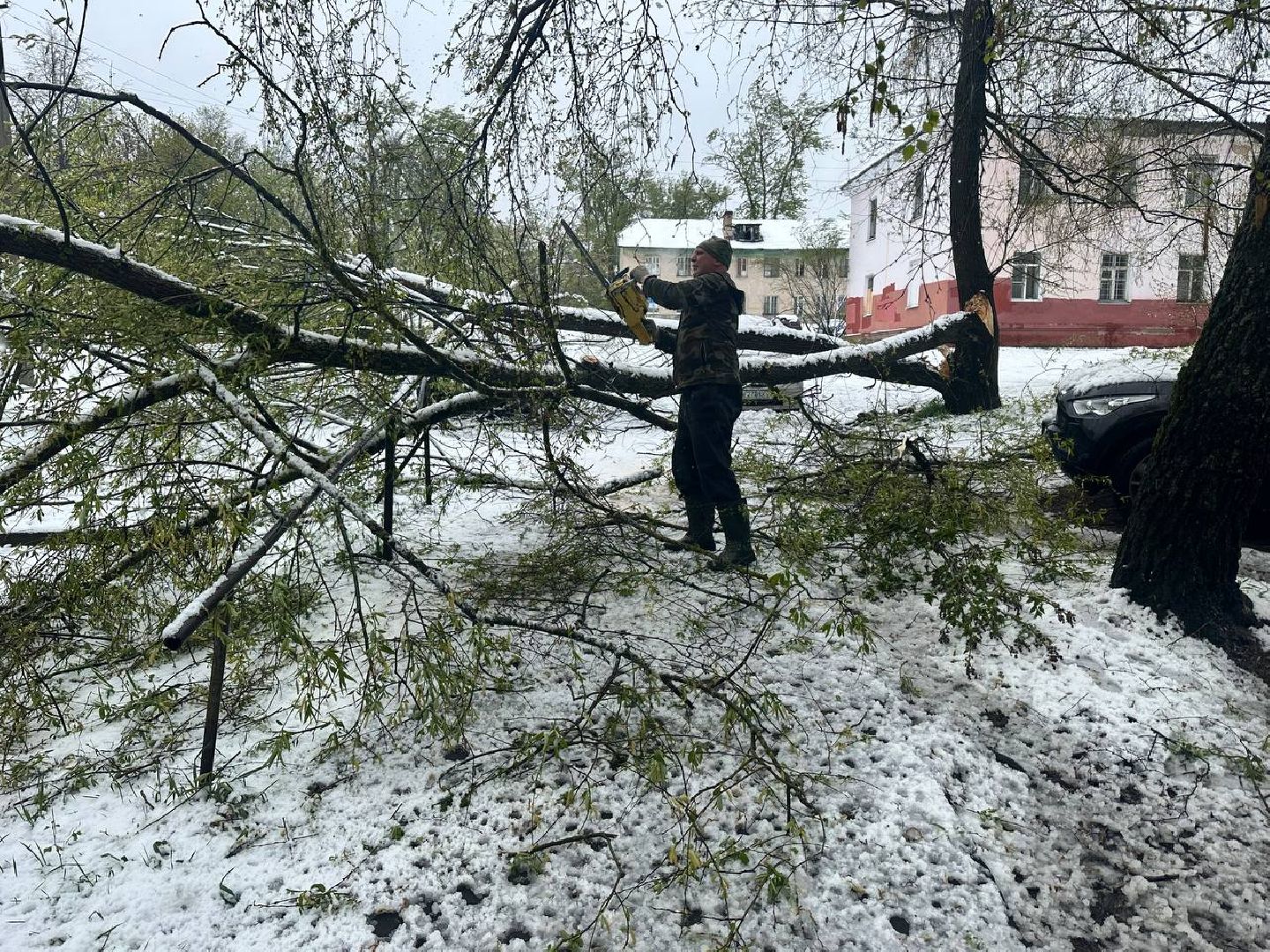 красноармейск, городской округ пушкинский, скандинавский циклон, майский снег, ликвидация последствий непогоды,