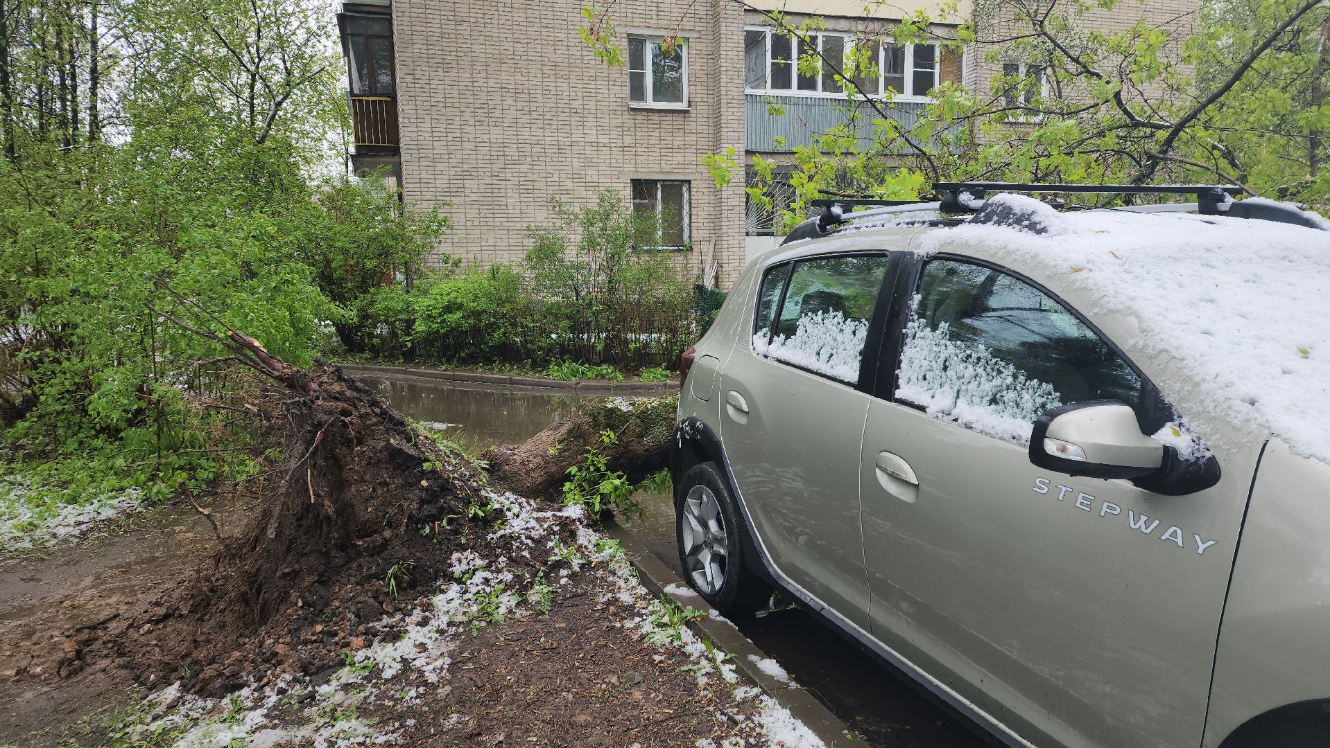 пушкино, ураган, снегопад, последствия непогоды, последствия снегопада, упало, упавшие деревья, коммунальная служба,