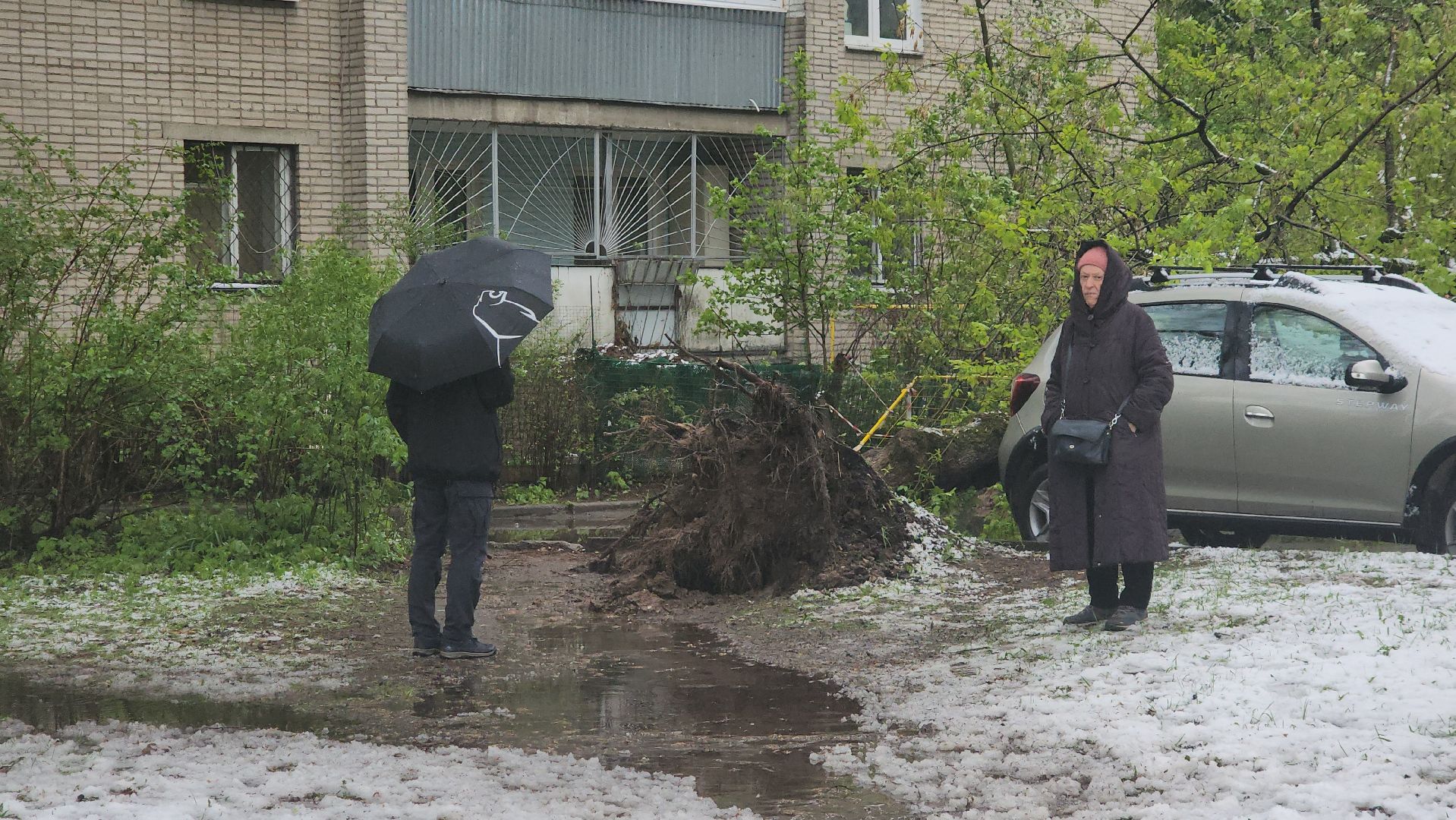 пушкино, ураган, снегопад, последствия непогоды, последствия снегопада, упало, упавшие деревья, коммунальная служба,