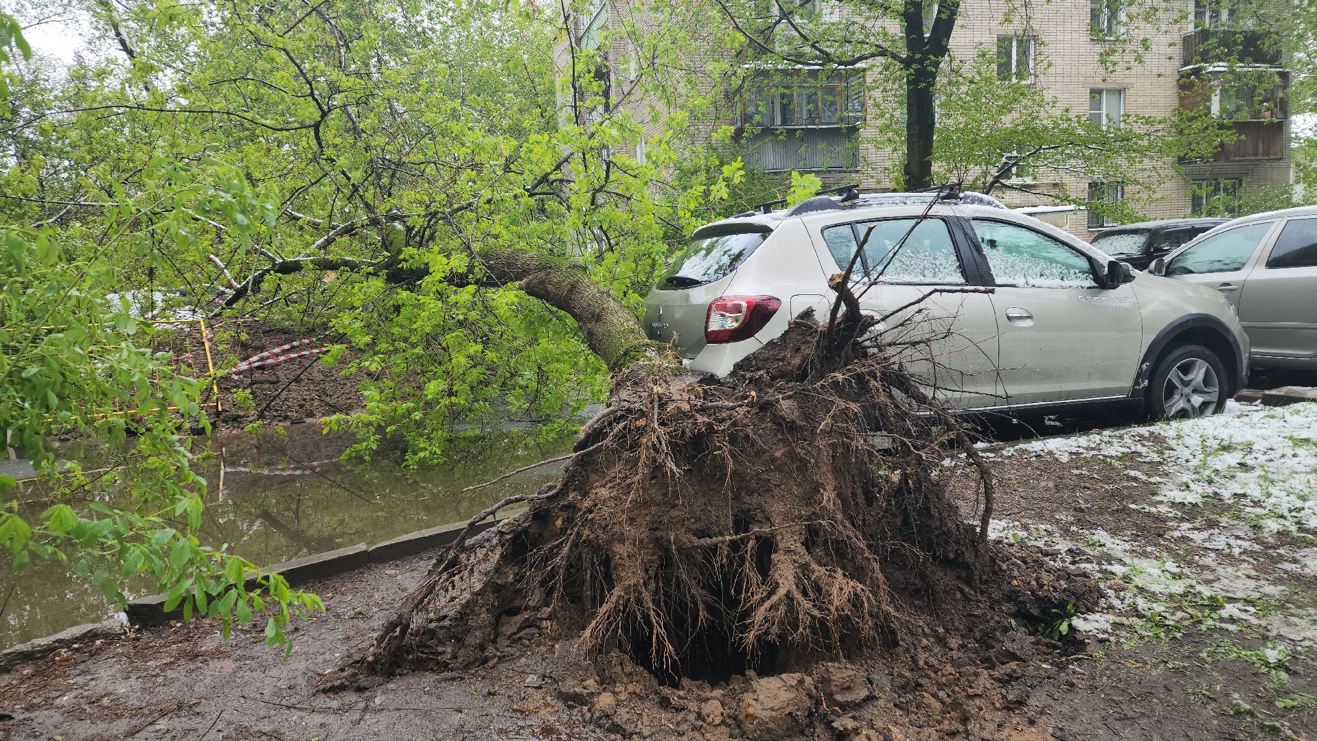 пушкино, ураган, снегопад, последствия непогоды, последствия снегопада, упало, упавшие деревья, коммунальная служба,