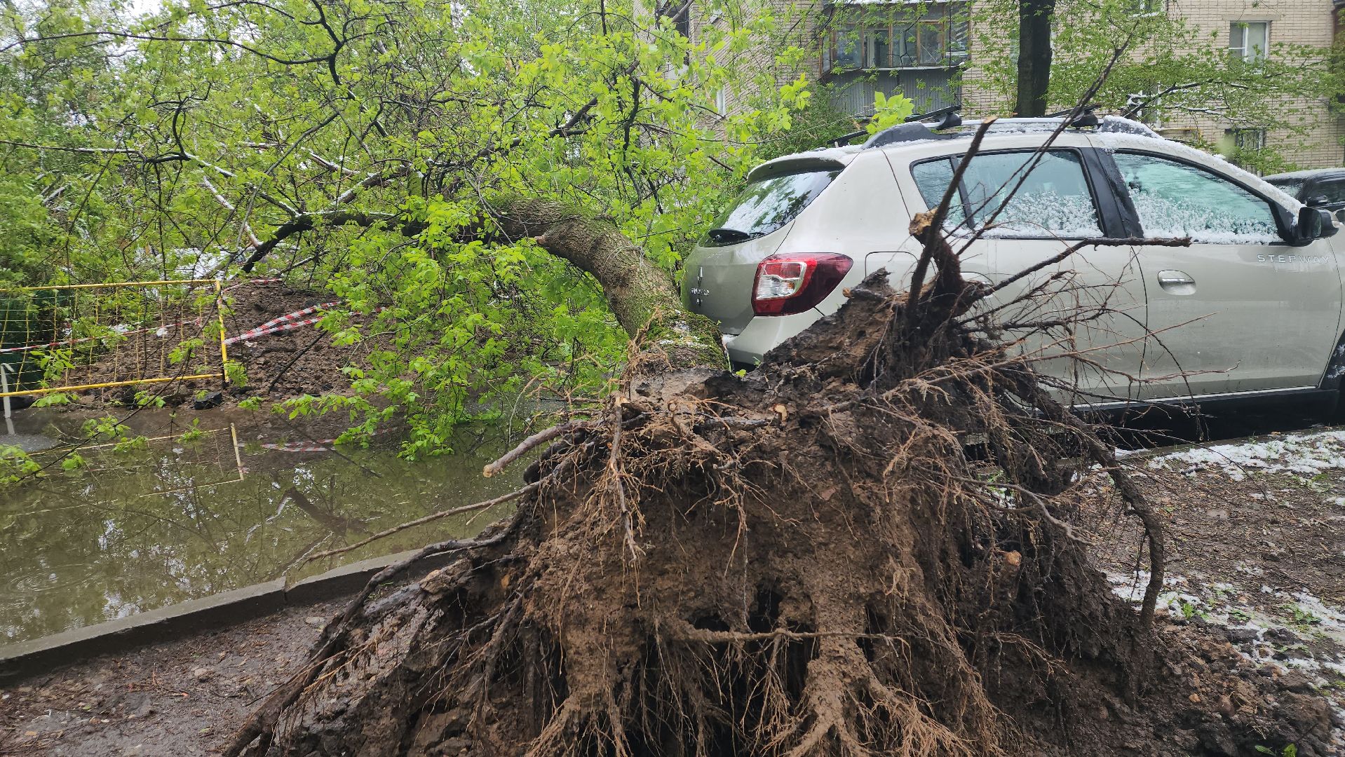 пушкино, ураган, снегопад, последствия непогоды, последствия снегопада, упало, упавшие деревья, коммунальная служба,