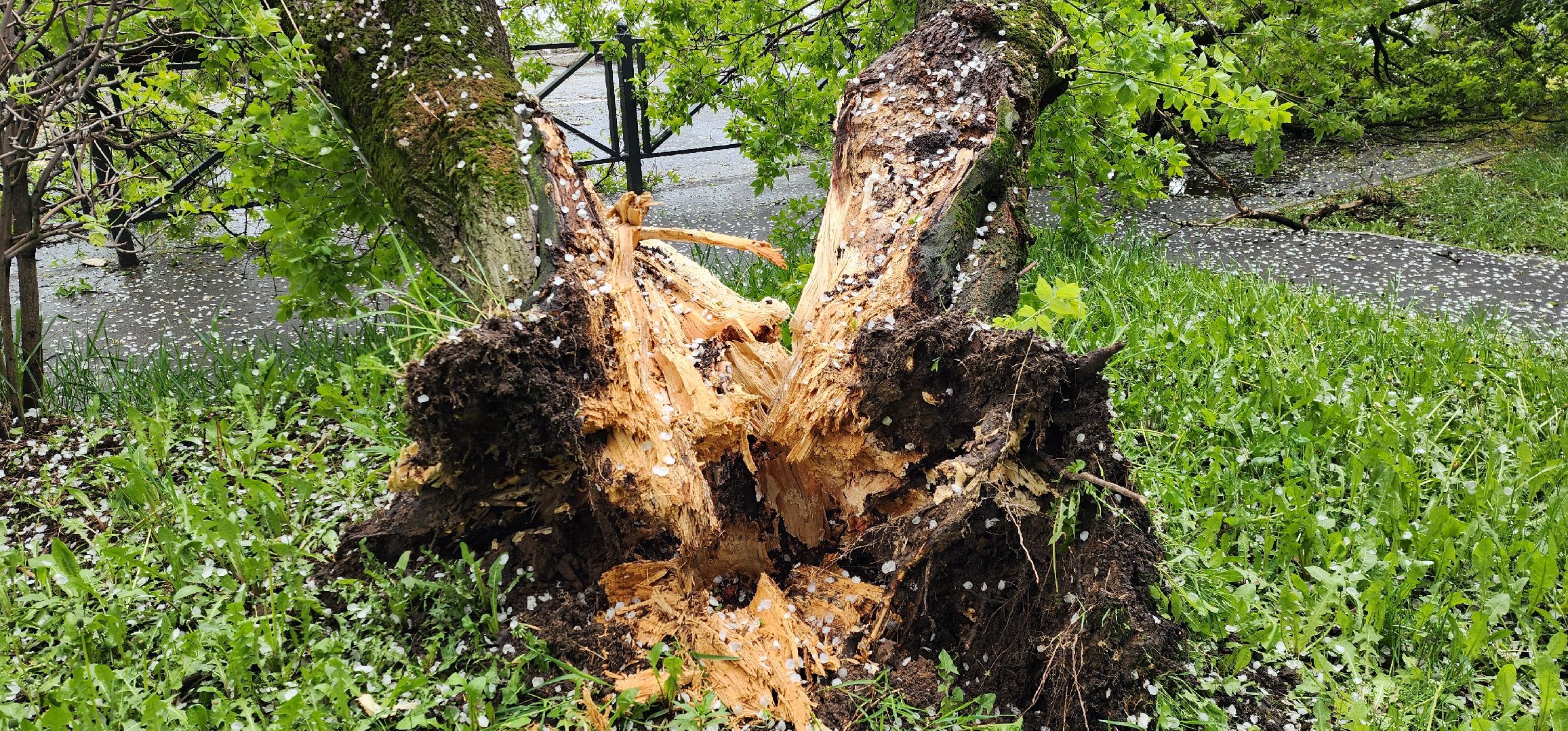 Химки , ЖКХ, аварийная бригада,