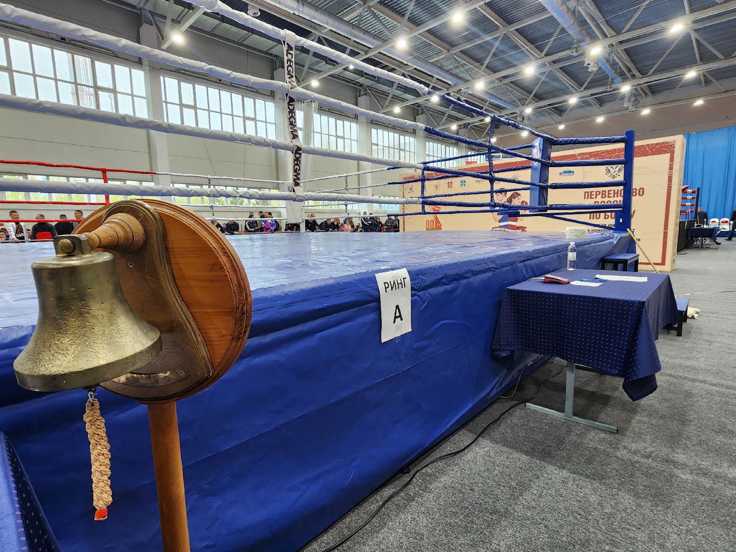 Чехов, дворец спорта олимпийский, первенство России по боксу, юниоры и юниорки, разные весовые категории, соревнования, состязания, 17-18 лет, Денис Лебедев, Александр Поветкин,