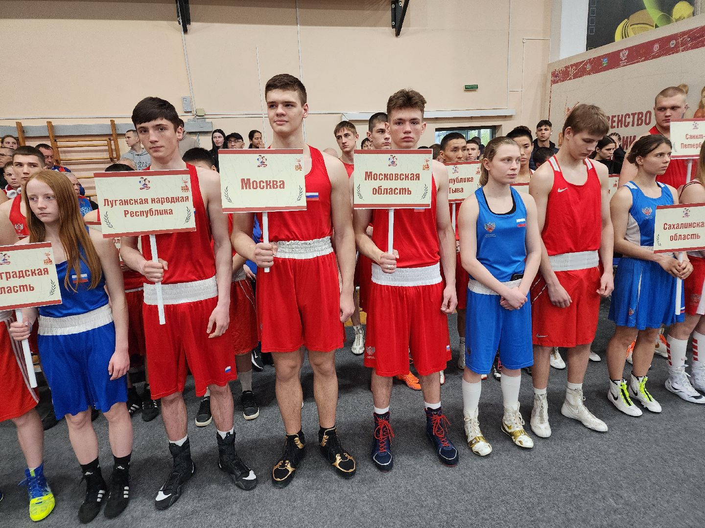 Чехов, дворец спорта олимпийский, первенство России по боксу, юниоры и юниорки, разные весовые категории, соревнования, состязания, 17-18 лет, Денис Лебедев, Александр Поветкин,