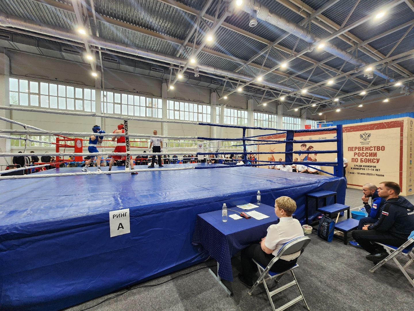 Чехов, дворец спорта олимпийский, первенство России по боксу, юниоры и юниорки, разные весовые категории, соревнования, состязания, 17-18 лет, Денис Лебедев, Александр Поветкин,