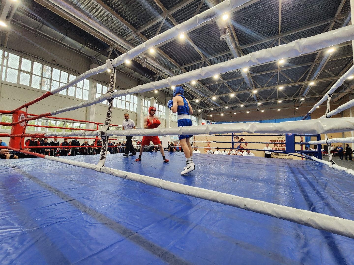 Чехов, дворец спорта олимпийский, первенство России по боксу, юниоры и юниорки, разные весовые категории, соревнования, состязания, 17-18 лет, Денис Лебедев, Александр Поветкин,