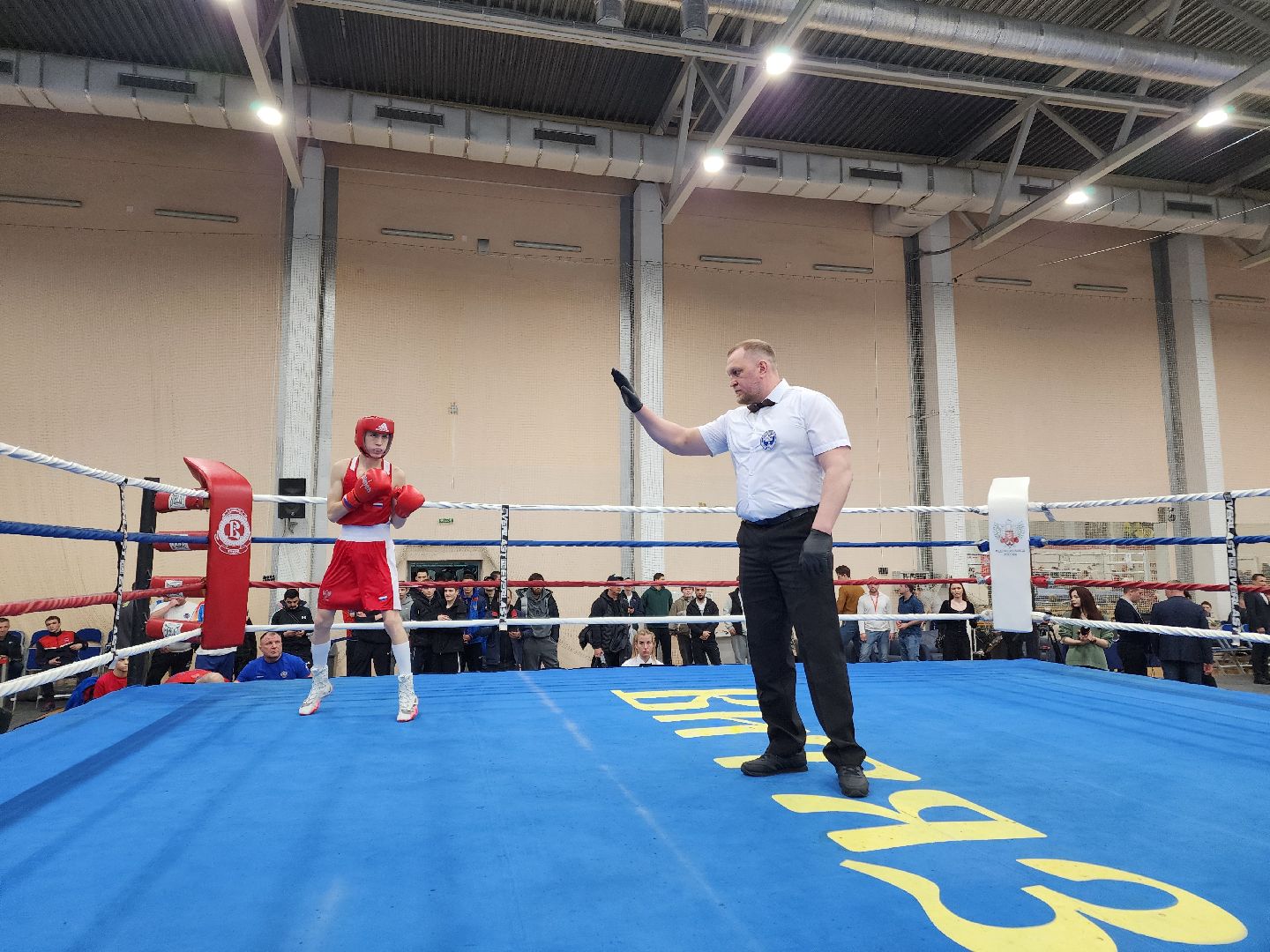 Чехов, дворец спорта олимпийский, первенство России по боксу, юниоры и юниорки, разные весовые категории, соревнования, состязания, 17-18 лет, Денис Лебедев, Александр Поветкин,