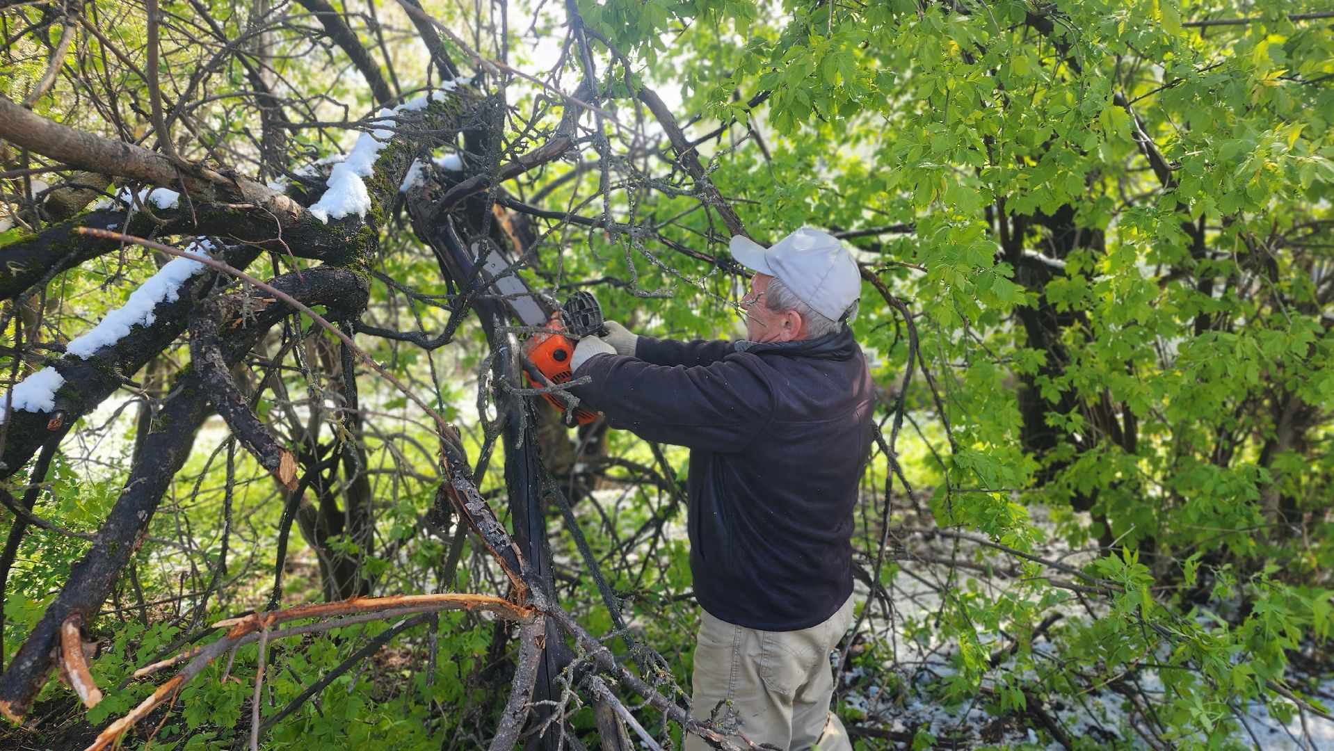 волоколамск, снегопад, жкх,