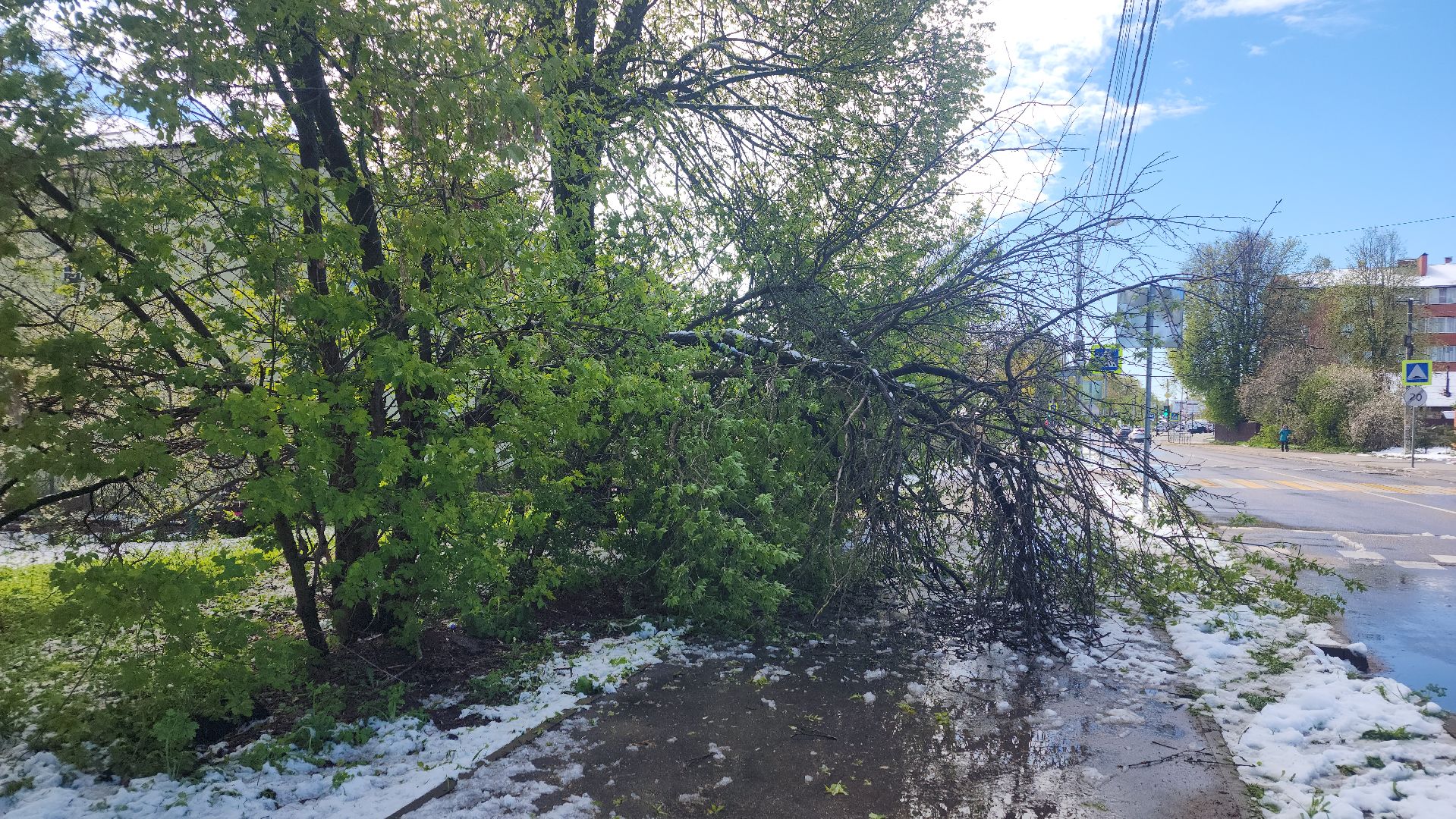 волоколамск, снегопад, жкх,