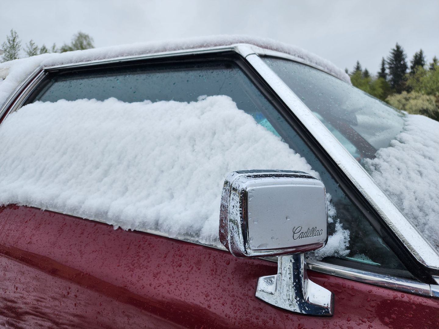 фрязино, усадьба гребнево, ретро-авто, майские праздники, открытие выставки,