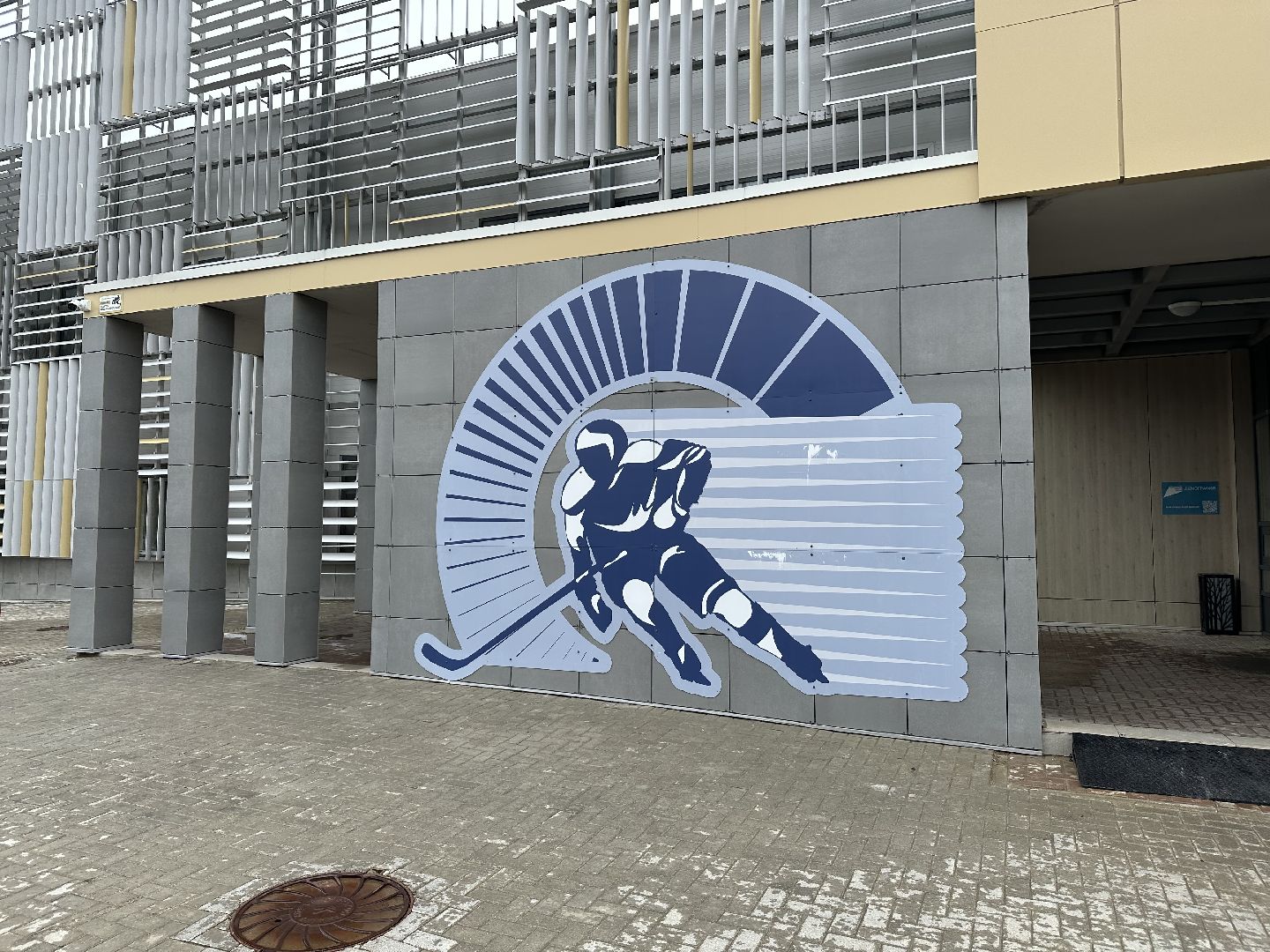 каток, домодедово, непогода,