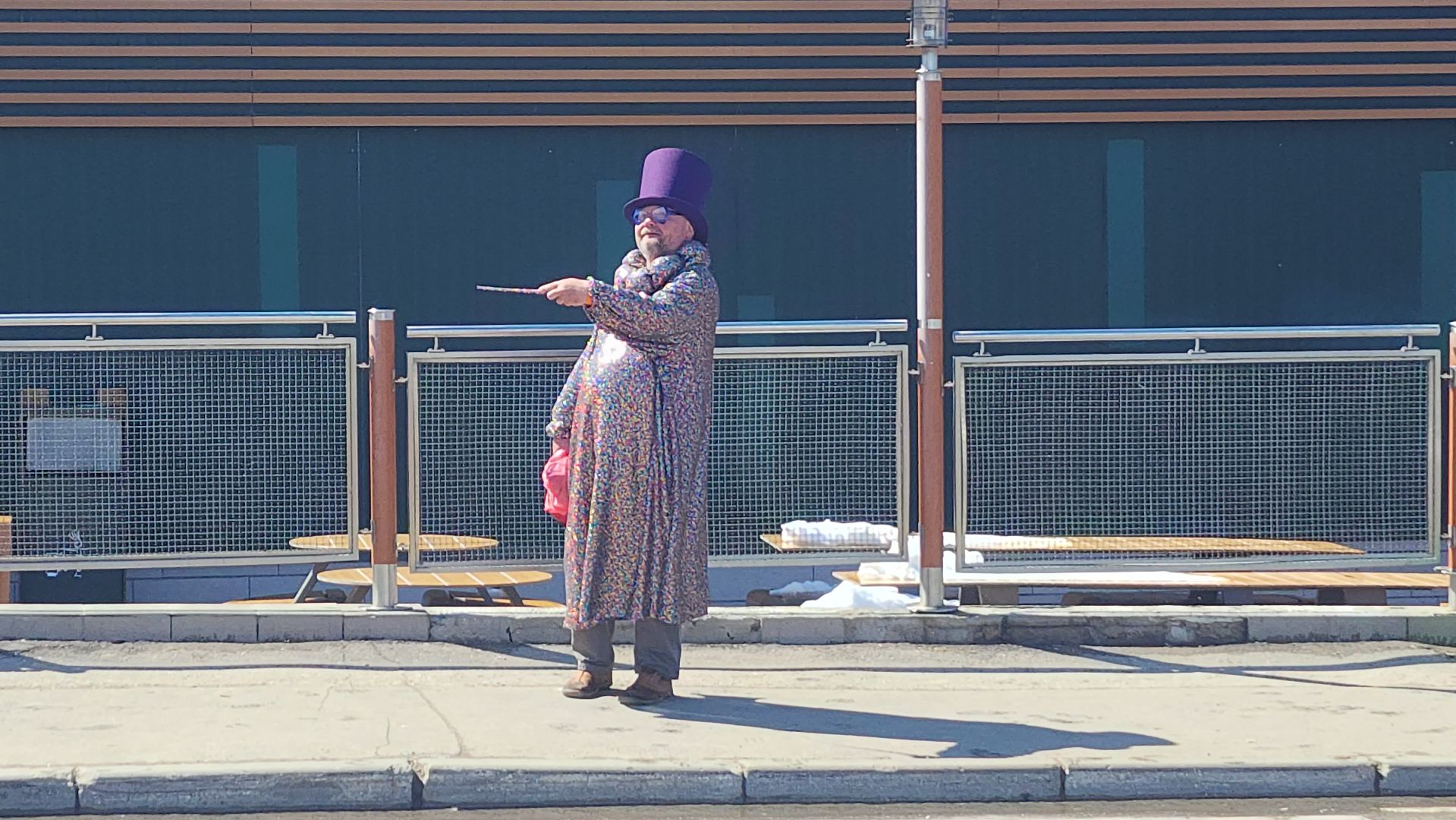 волоколамск, вальдемар, ярмарка,