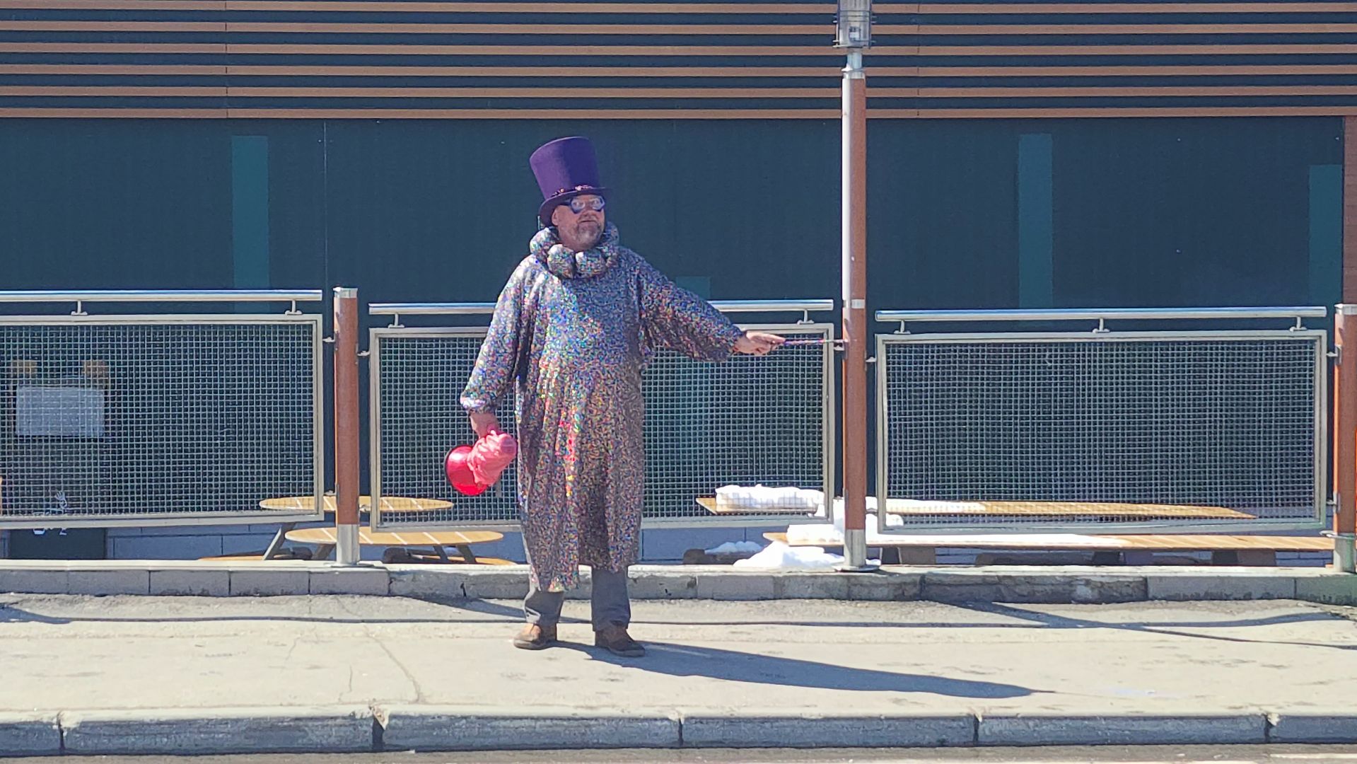 волоколамск, вальдемар, ярмарка,