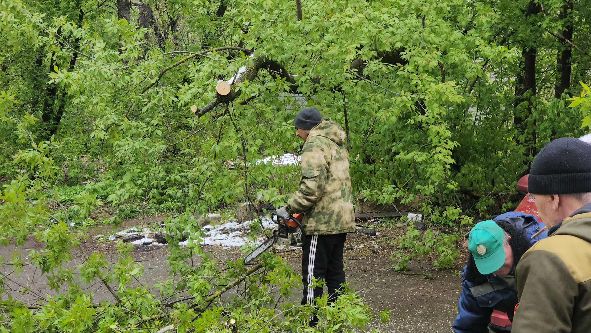 долгопрудный, снегопад, деревья, мбу благоустройство, первомайская,