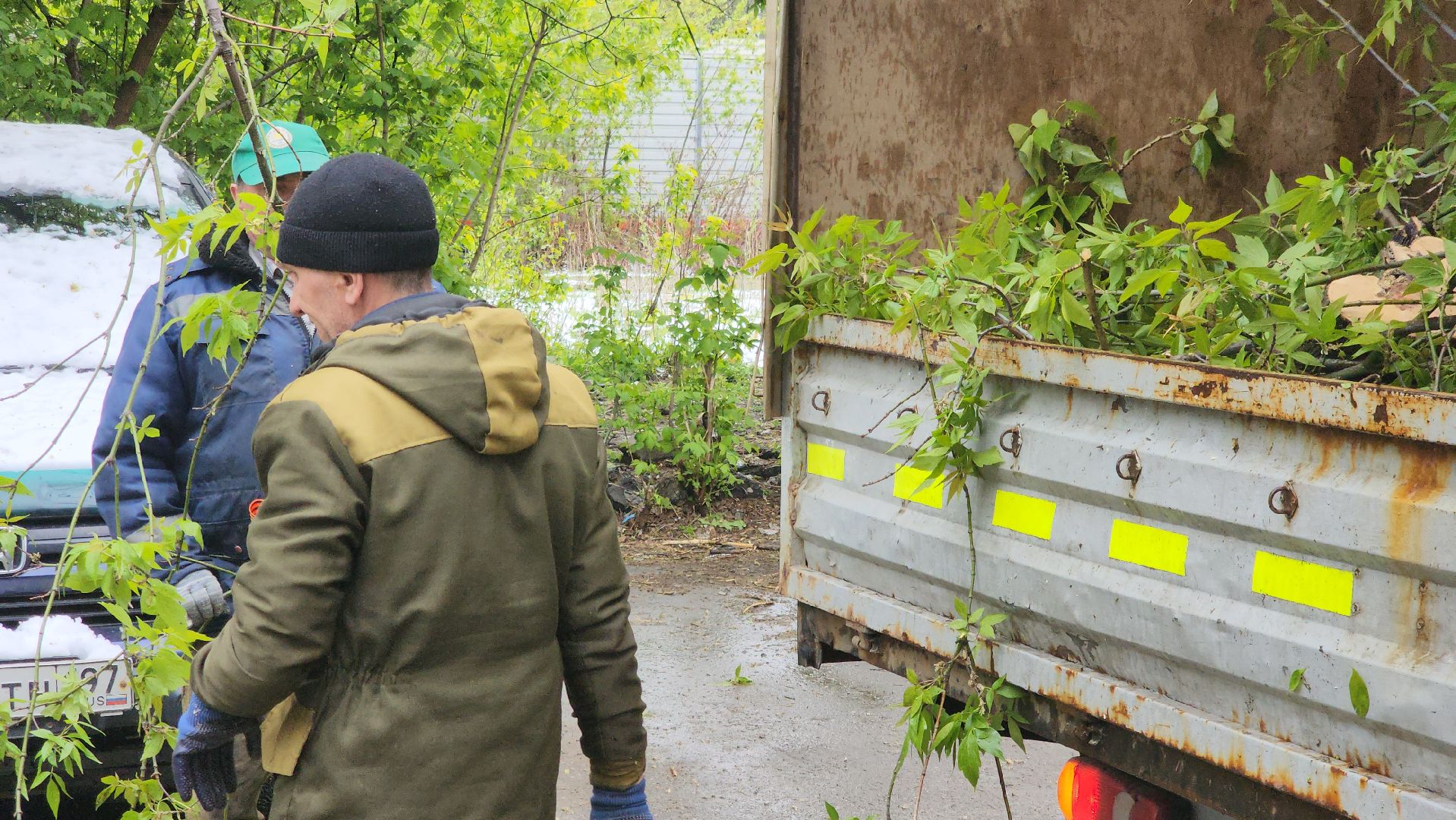 долгопрудный, снегопад, деревья, мбу благоустройство, первомайская,