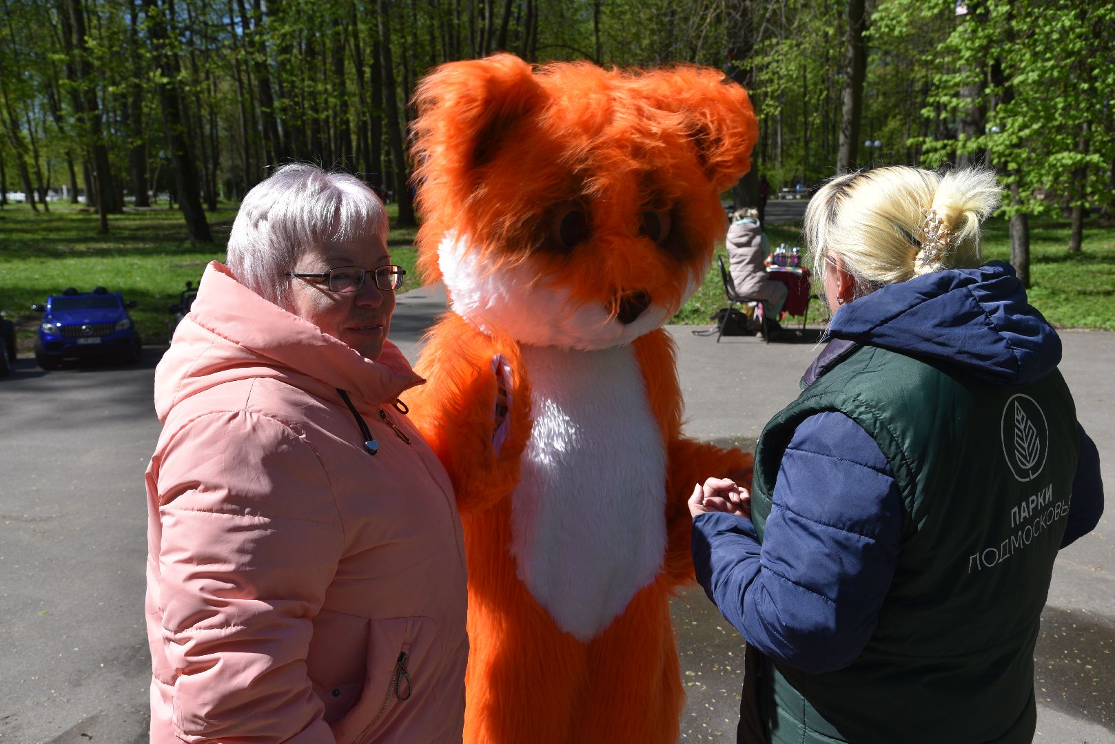 лотошино, лотошинский парк, дети,