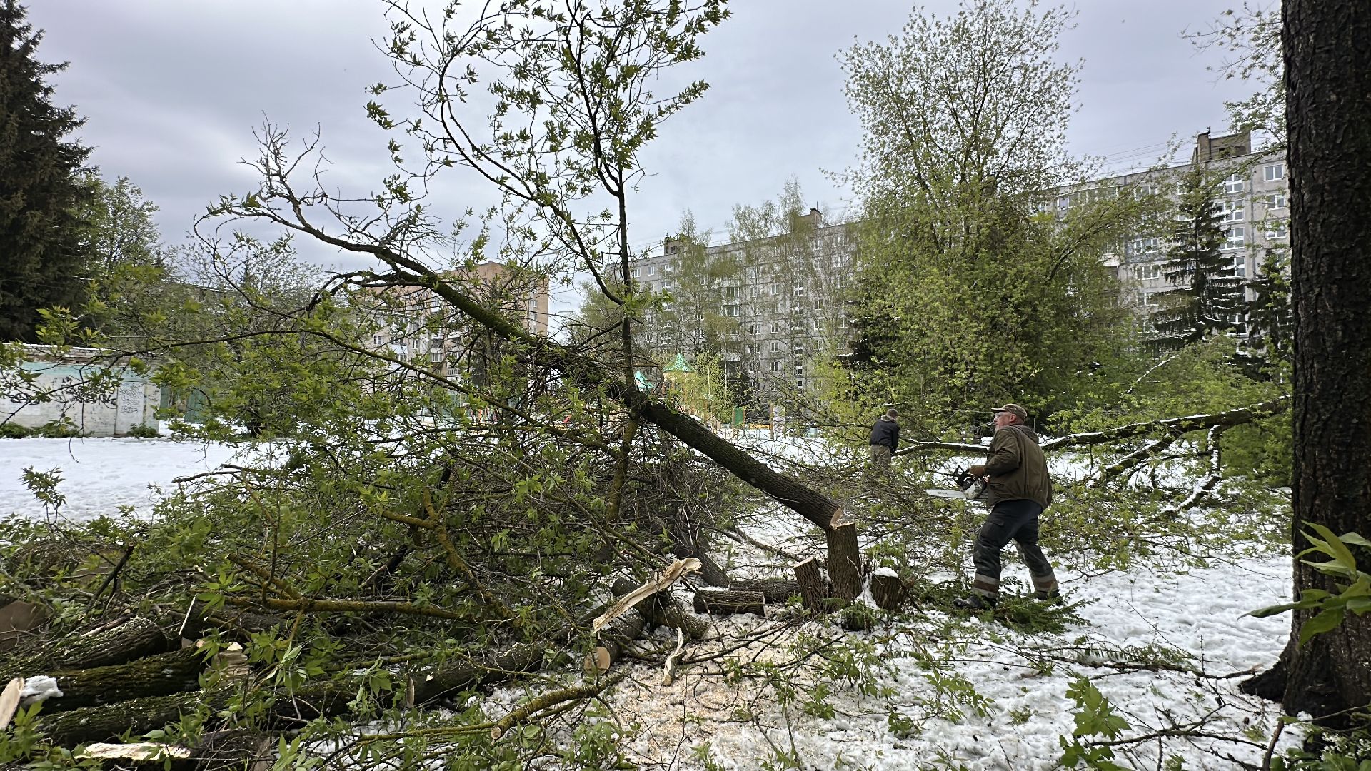 клин, общество, жкх, ликвидация последствий снегопада, чп,