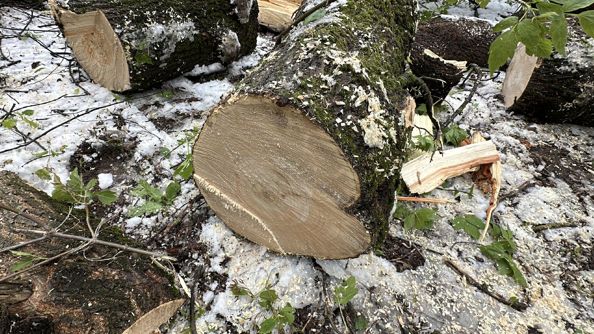клин, общество, жкх, ликвидация последствий снегопада, чп,
