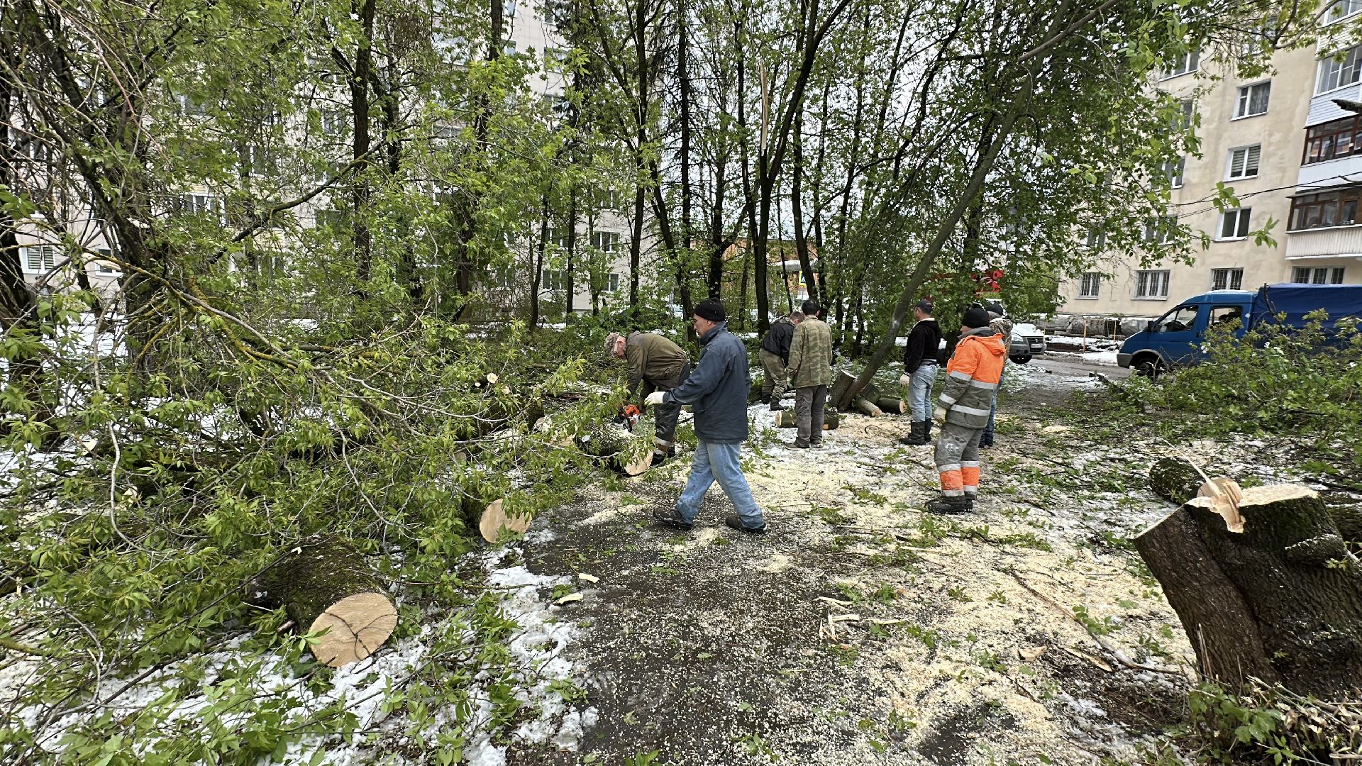 клин, общество, жкх, ликвидация последствий снегопада, чп,