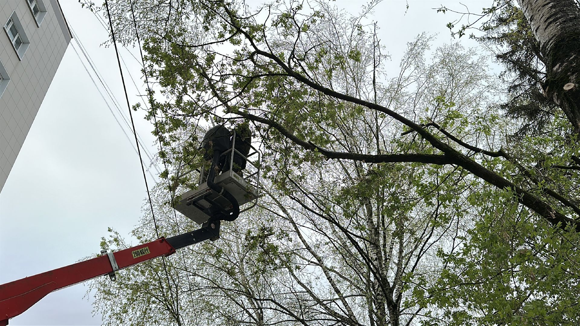клин, общество, жкх, ликвидация последствий снегопада, чп,