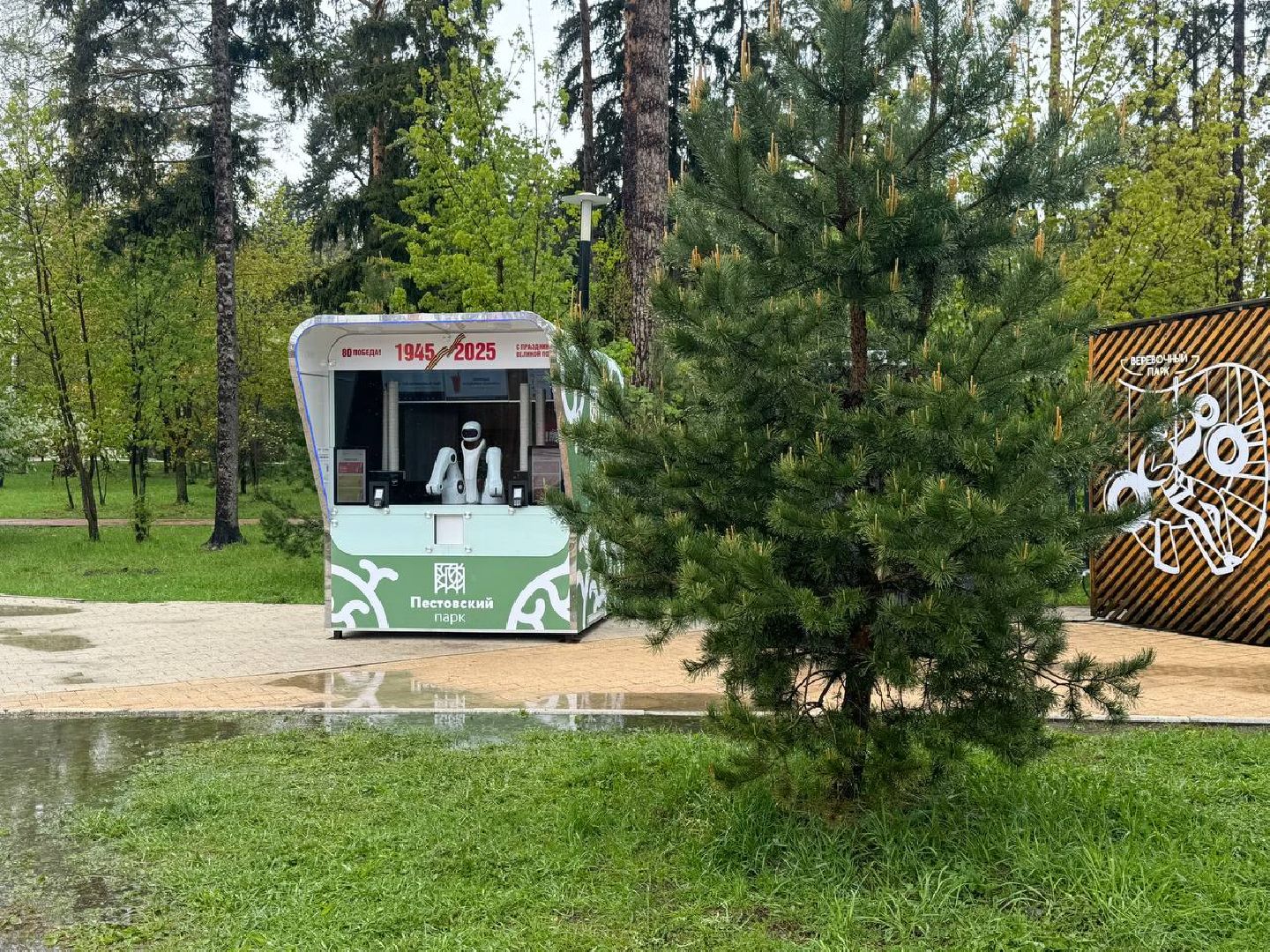 пестовский парк, робот, бариста, кафе,