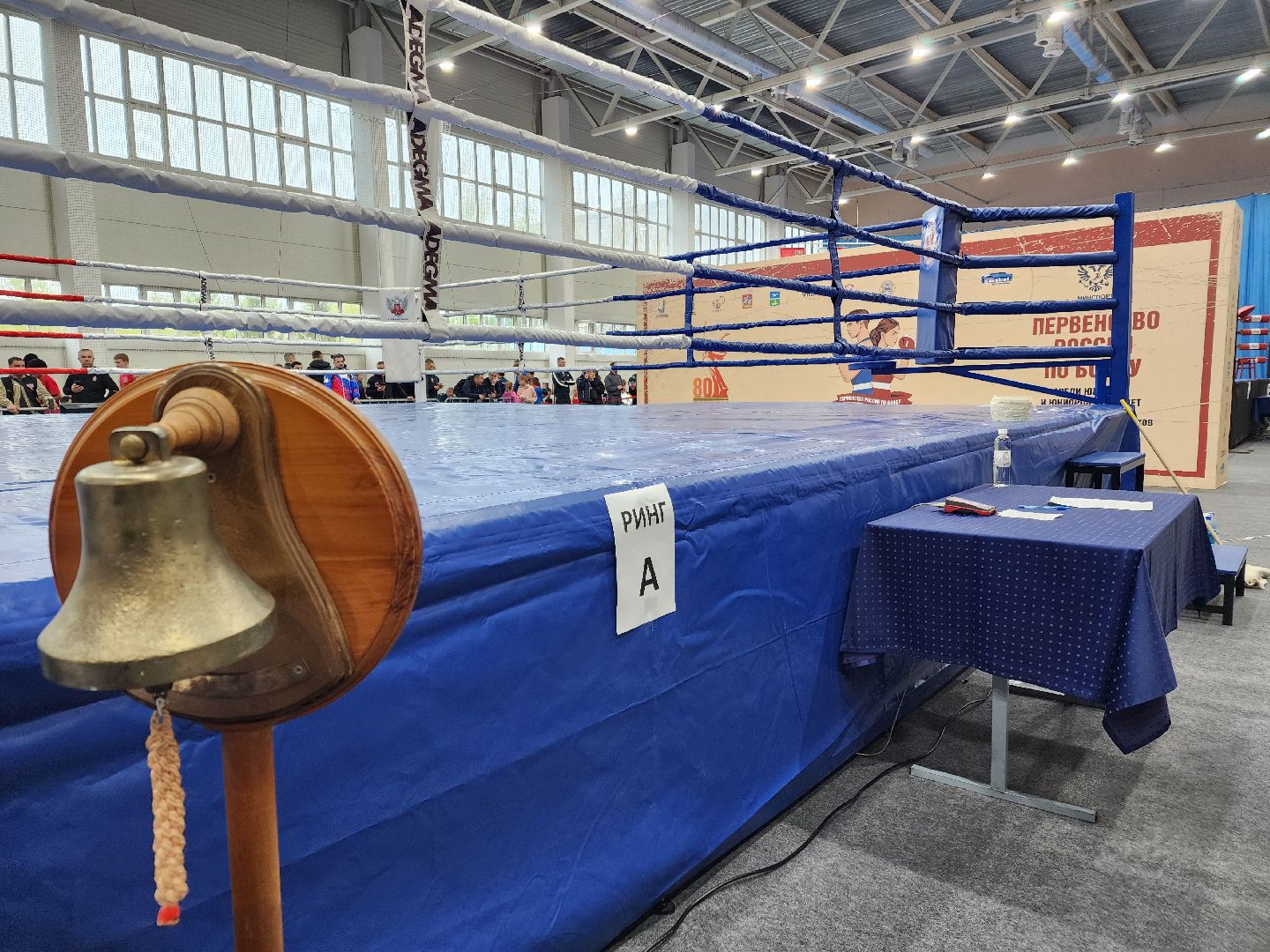 Чехов, всероссийская акция, Георгиевская ленточка, раздача ленточек, символ Победы, День Победы, юбилей, первенство России по боксу, Денис Лебедев, Александр Поветкин, братья Чудиновы, зам главы округа Виталий Шишкин,