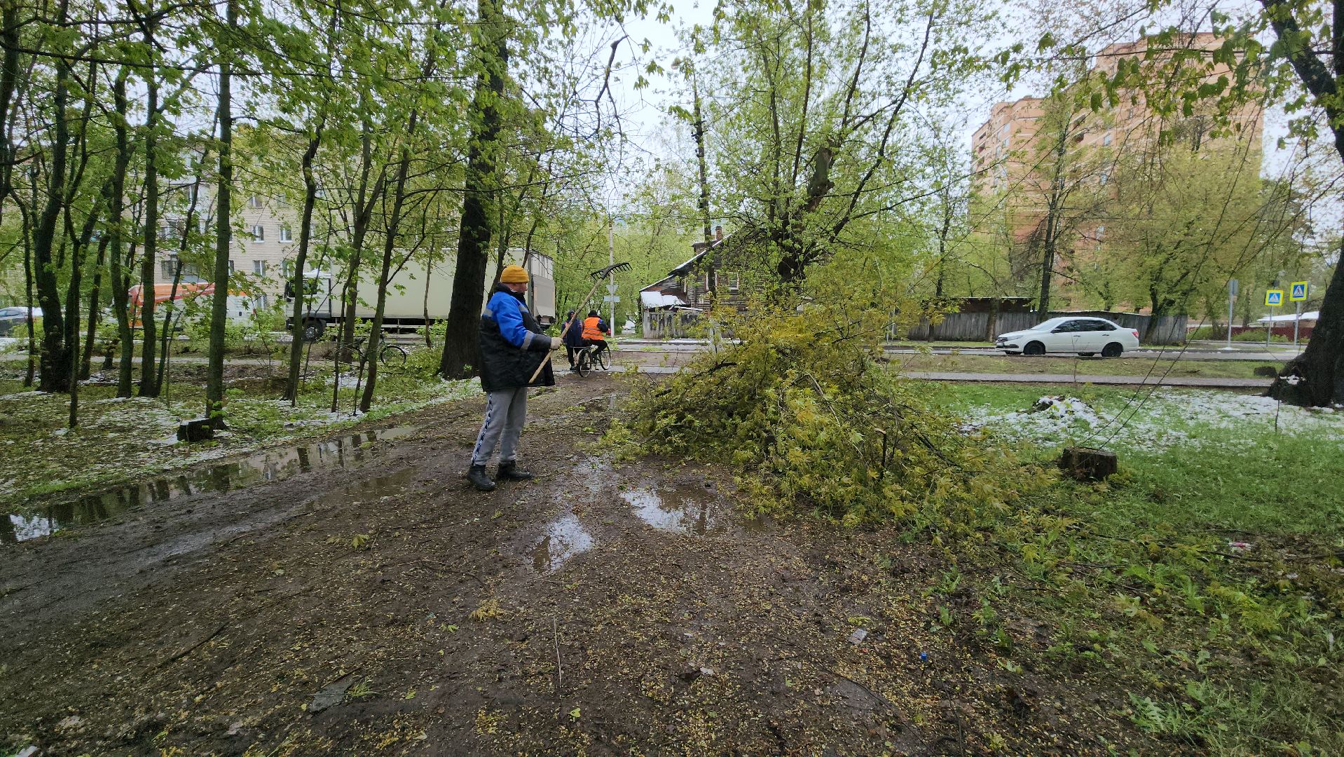 пушкино, ураган, упавшие деревья, коммунальные службы, устранение последствий урагана,