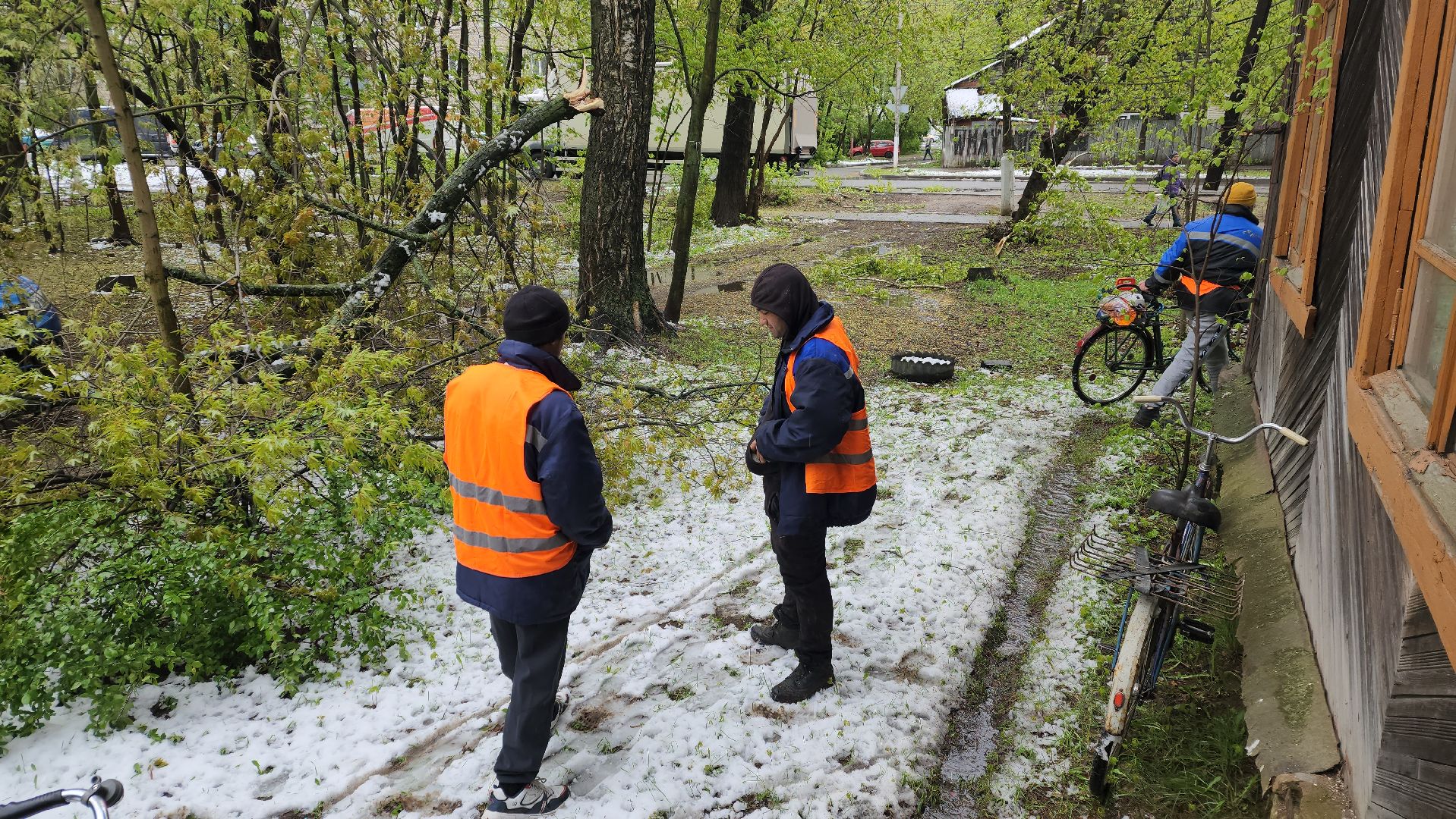 пушкино, ураган, упавшие деревья, коммунальные службы, устранение последствий урагана,