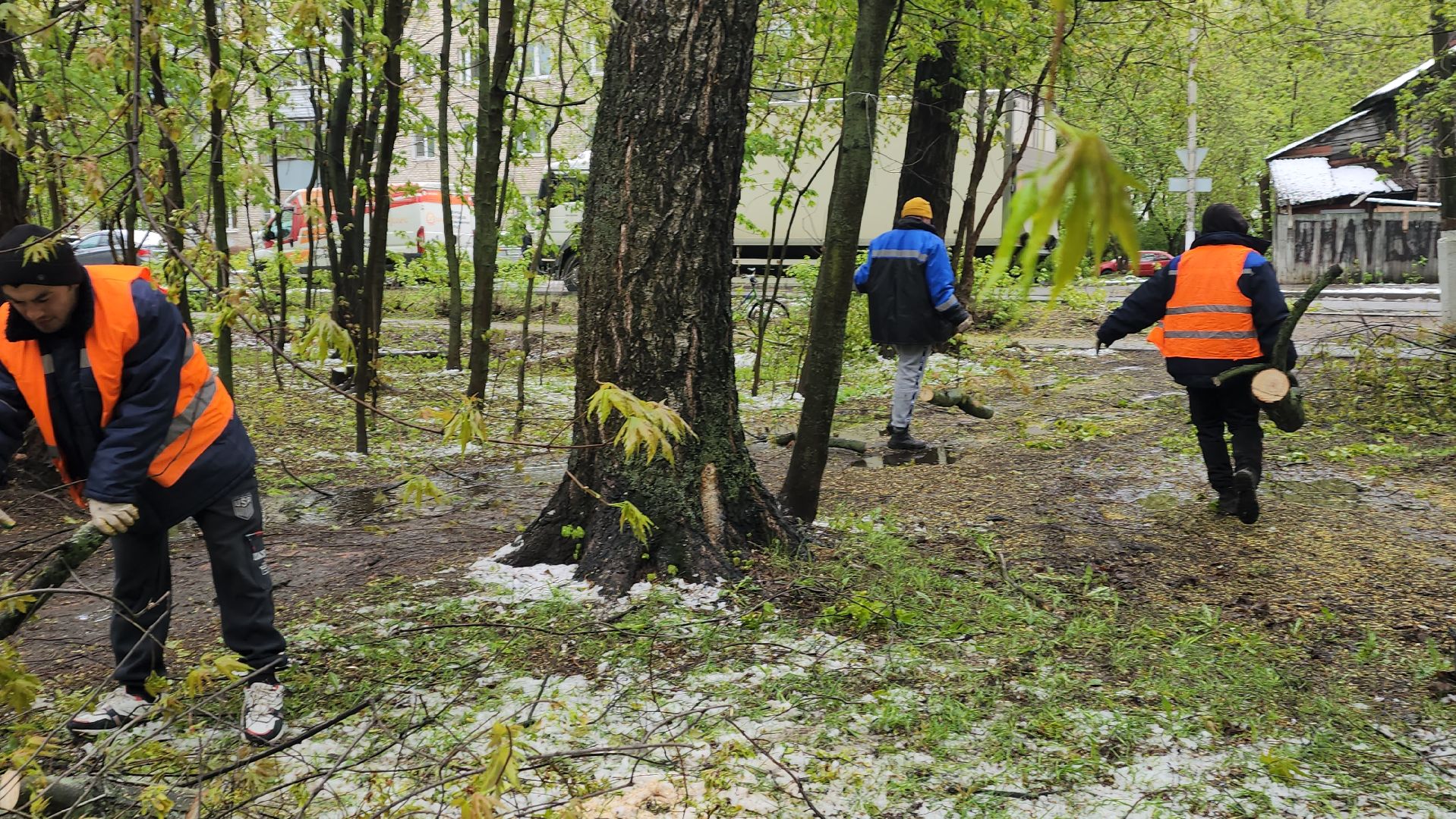 пушкино, ураган, упавшие деревья, коммунальные службы, устранение последствий урагана,
