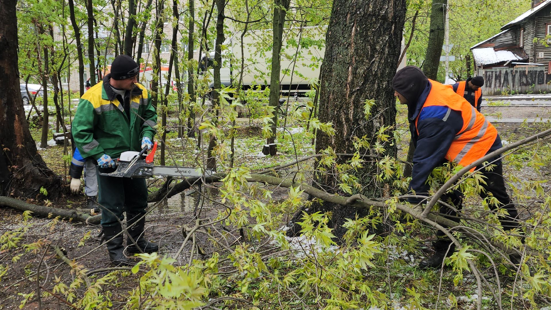 пушкино, ураган, упавшие деревья, коммунальные службы, устранение последствий урагана,