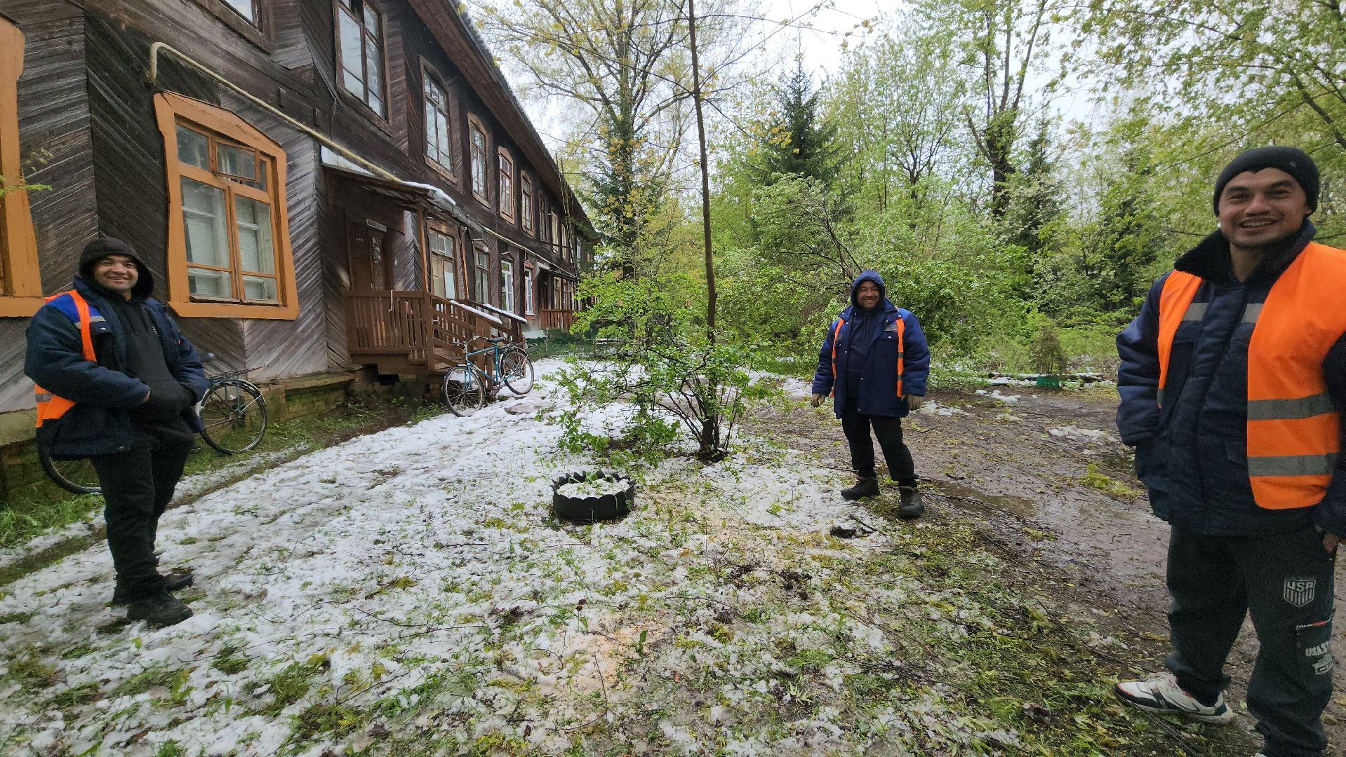 пушкино, ураган, упавшие деревья, коммунальные службы, устранение последствий урагана,