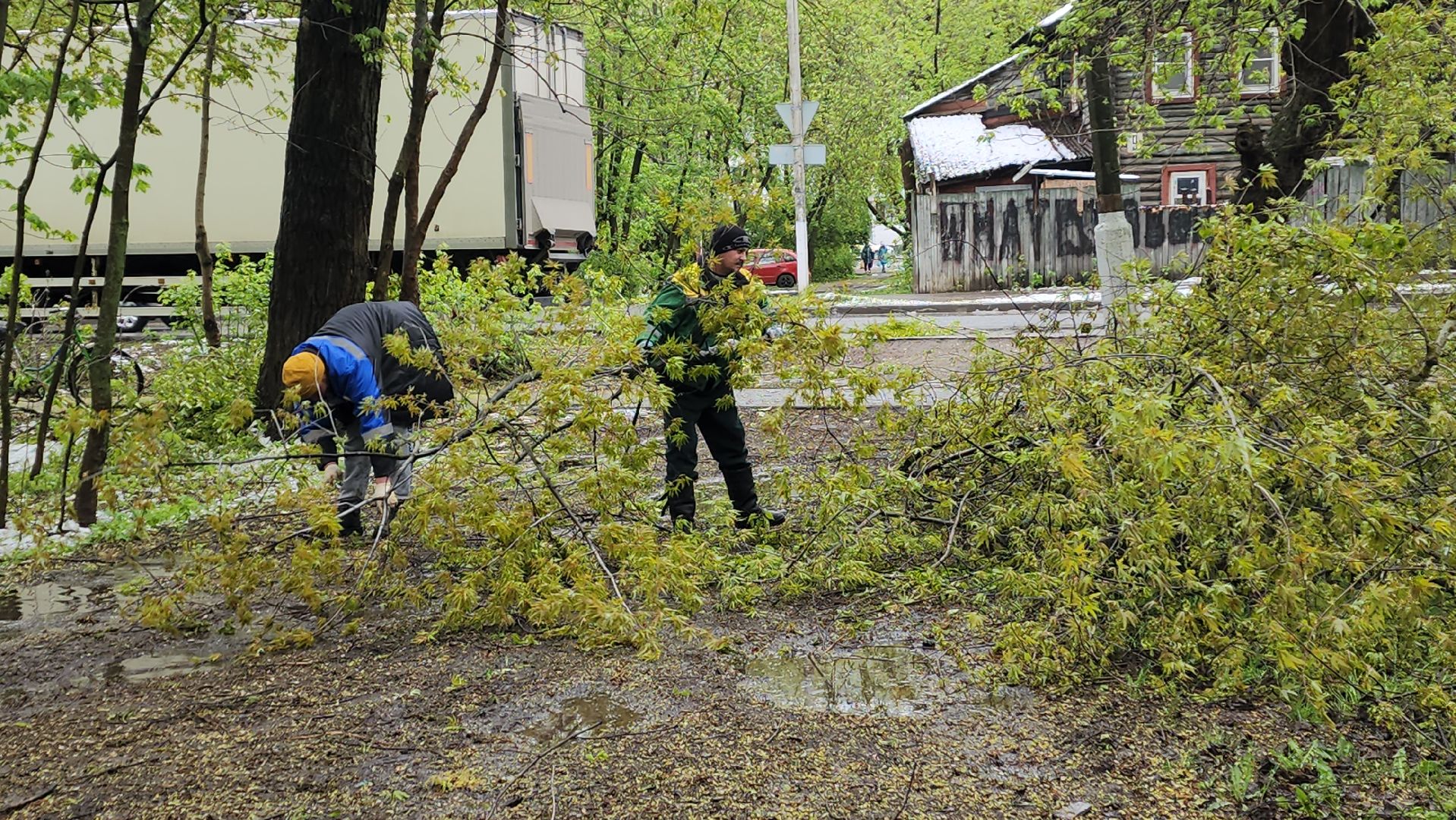 пушкино, ураган, упавшие деревья, коммунальные службы, устранение последствий урагана,