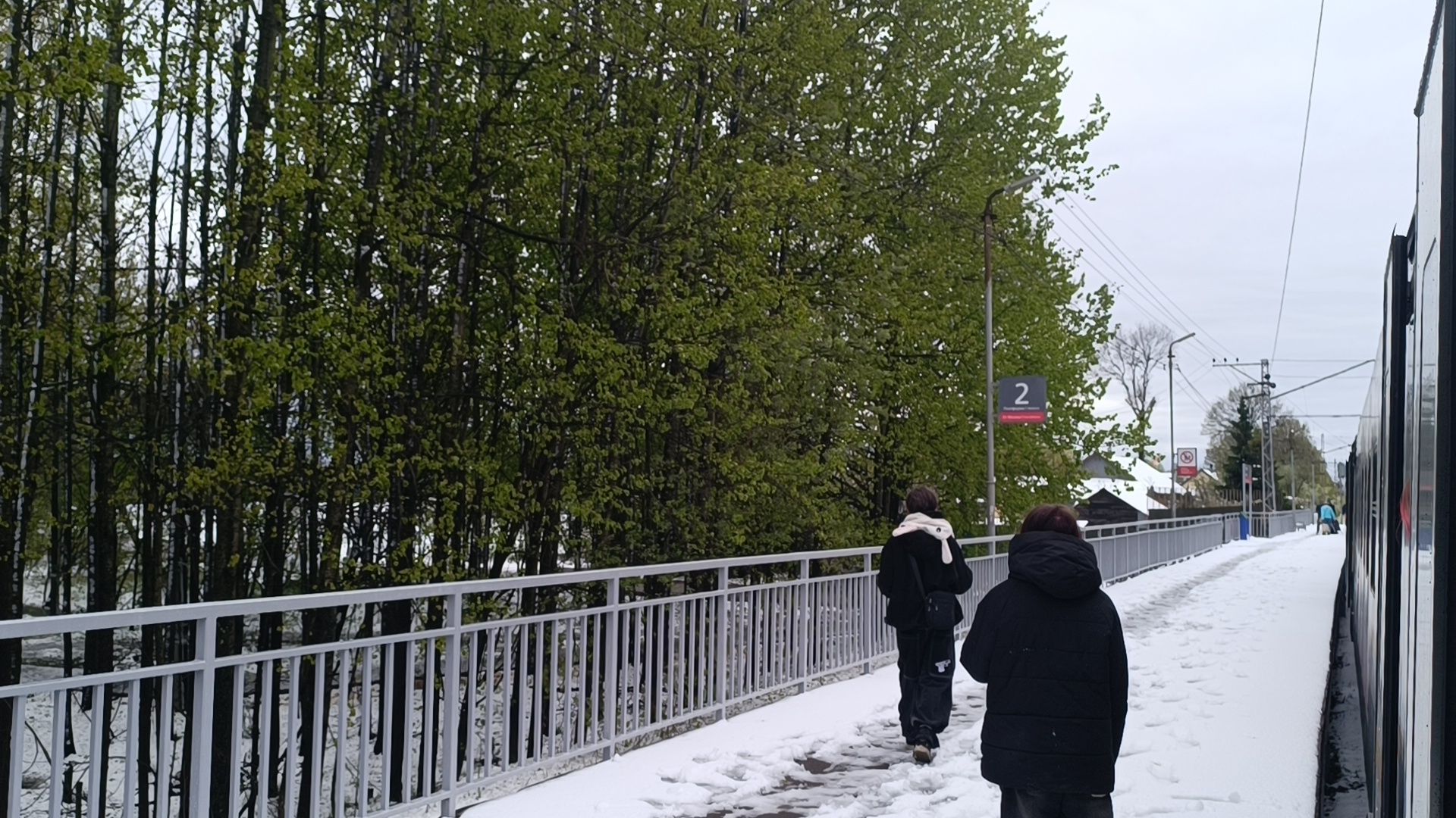 электрички, транспорт, лобня,