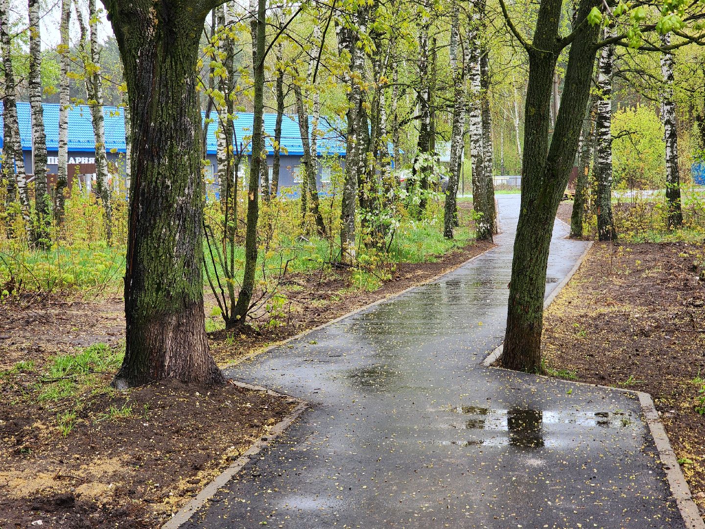 воскресенск, народные тропы, пешком,