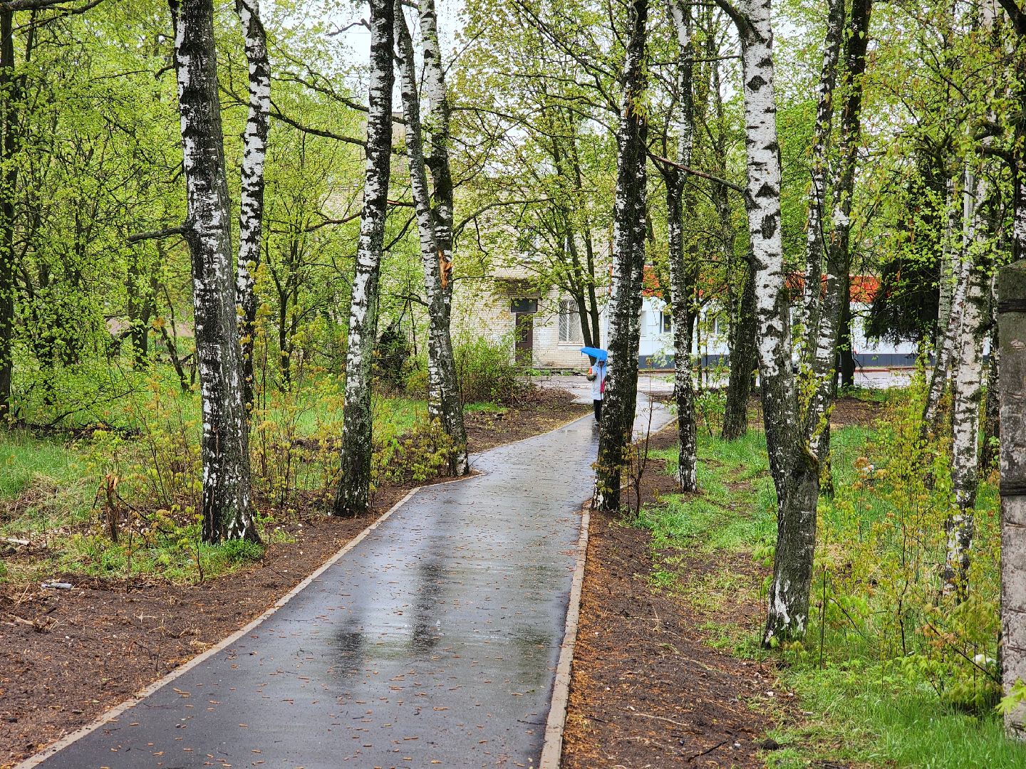 воскресенск, народные тропы, пешком,