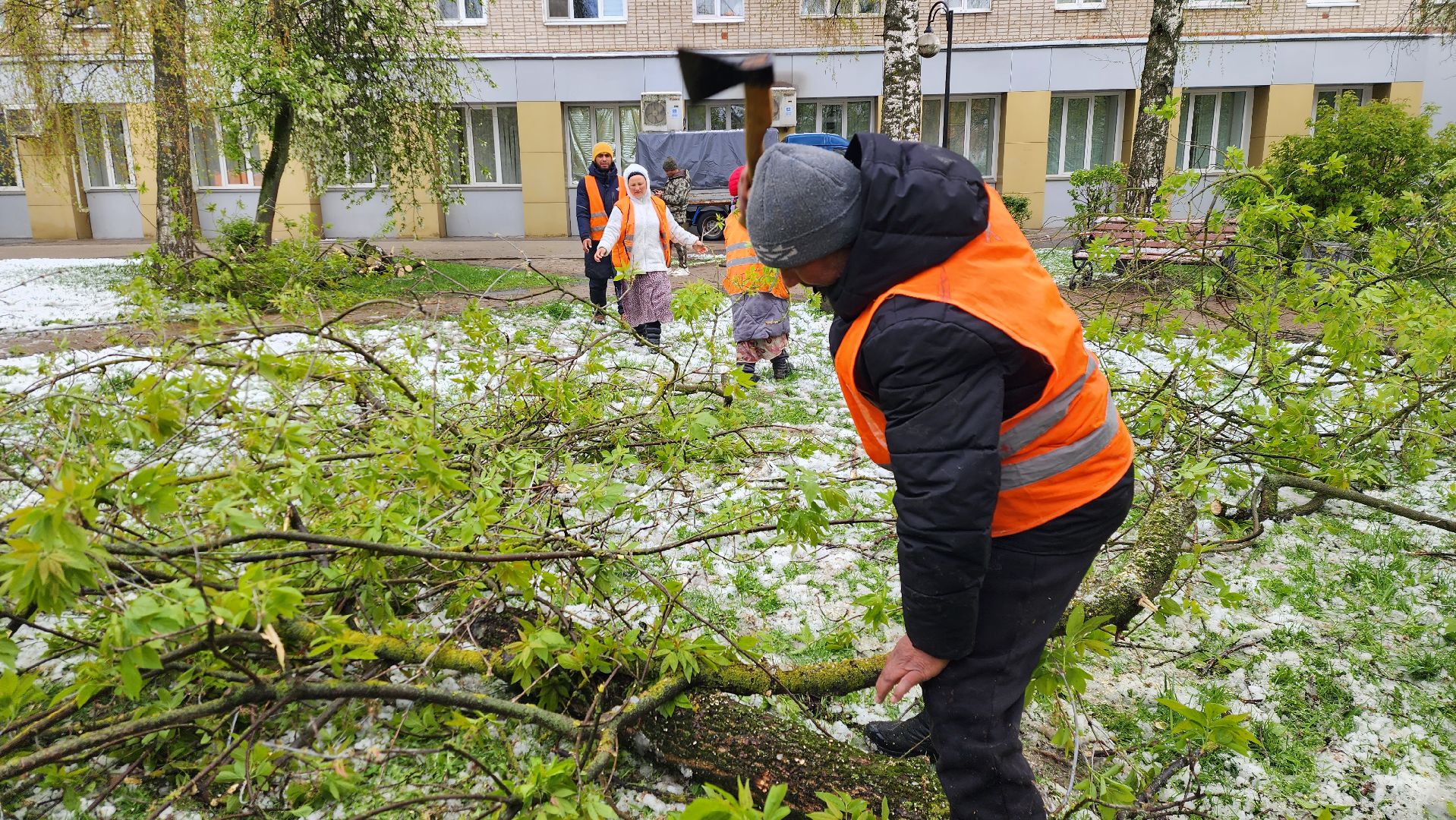 истра, благоустройство, коммунальная служба,