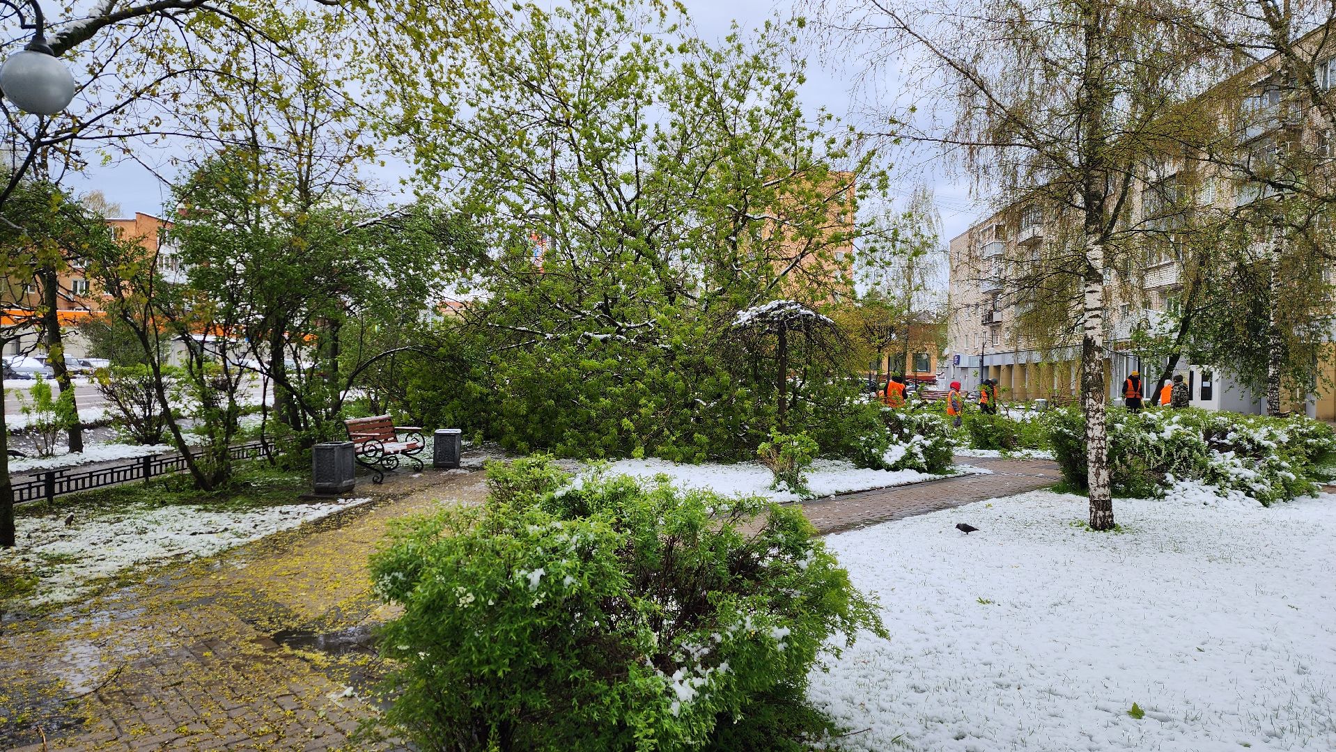 истра, благоустройство, коммунальная служба,