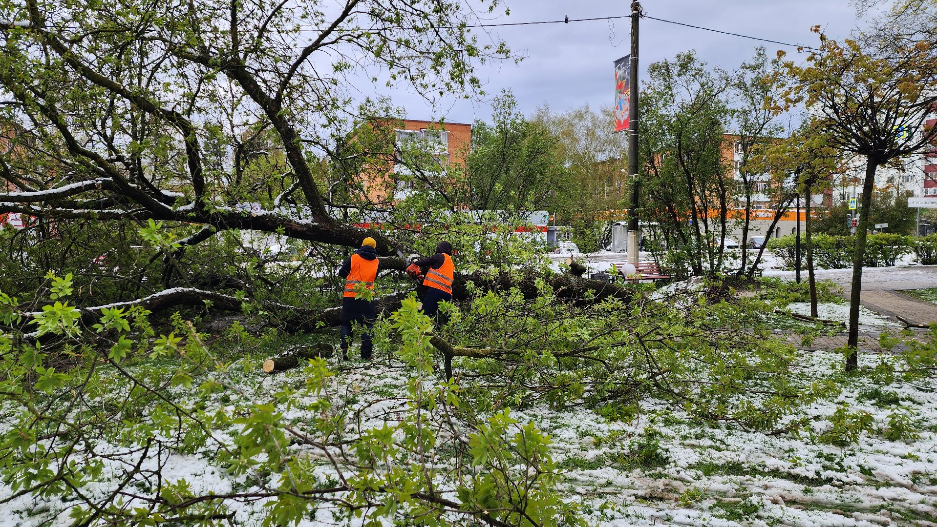 истра, благоустройство, коммунальная служба,