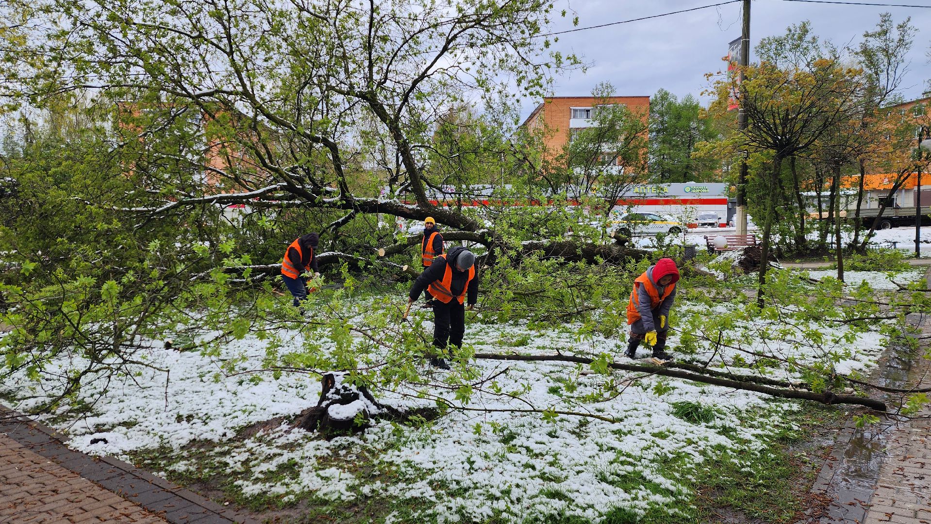истра, благоустройство, коммунальная служба,