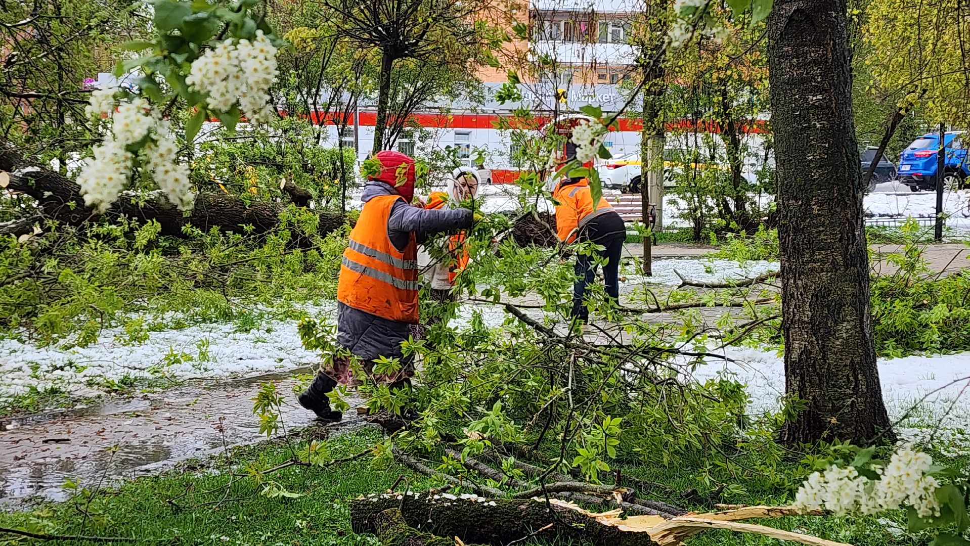 истра, благоустройство, коммунальная служба,