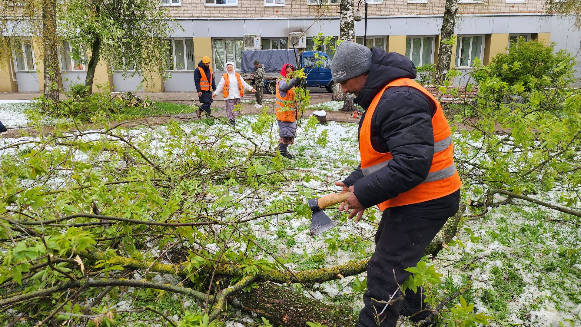 истра, благоустройство, коммунальная служба,