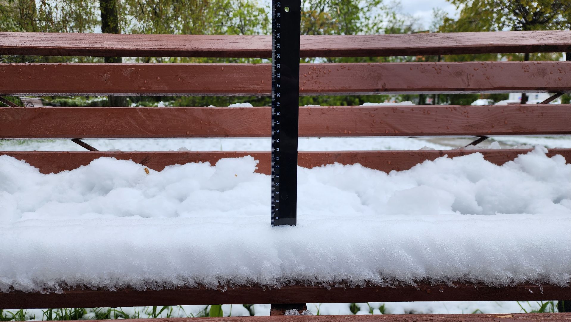 истра, благоустройство, коммунальная служба,