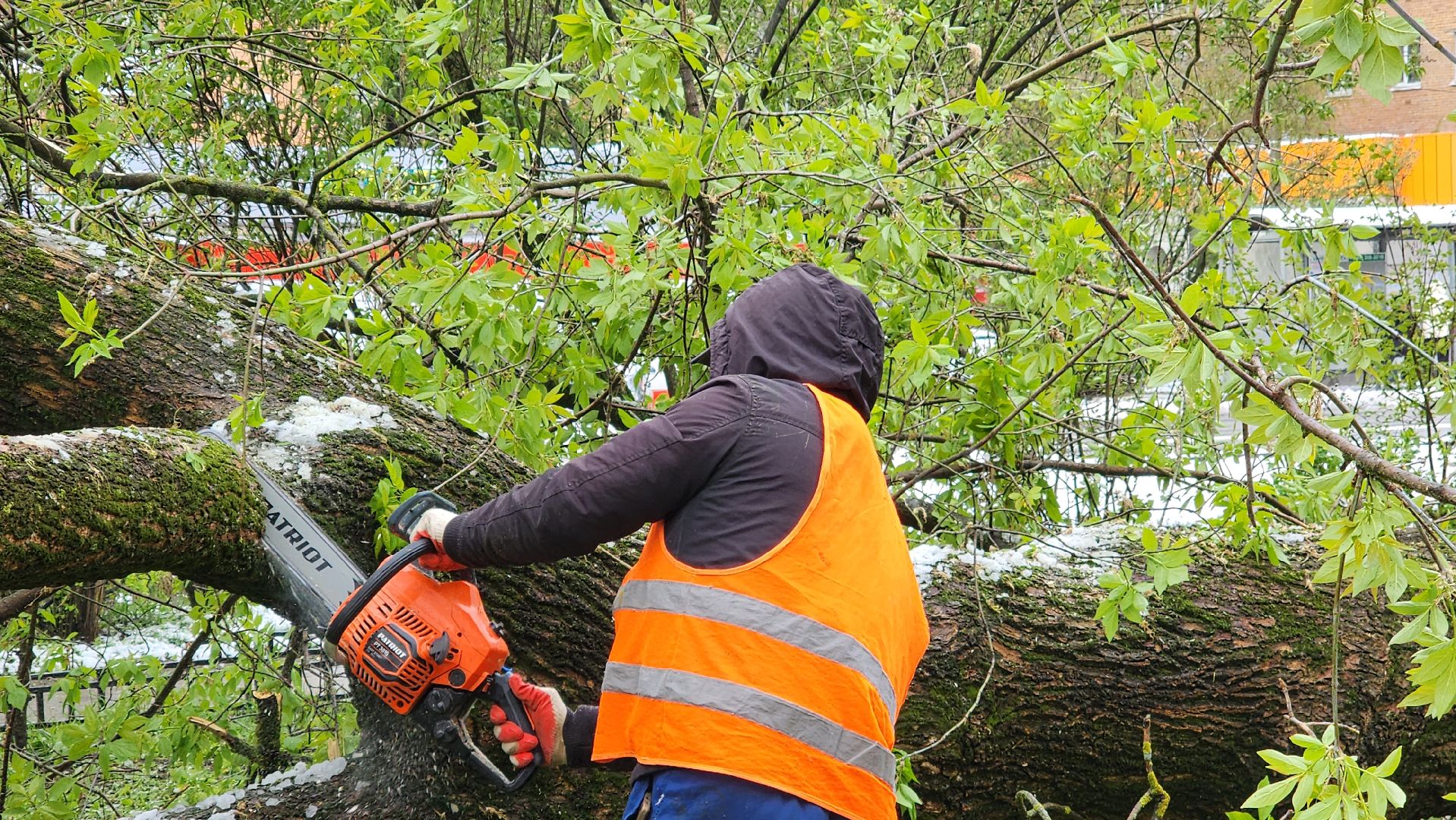 истра, благоустройство, коммунальная служба,