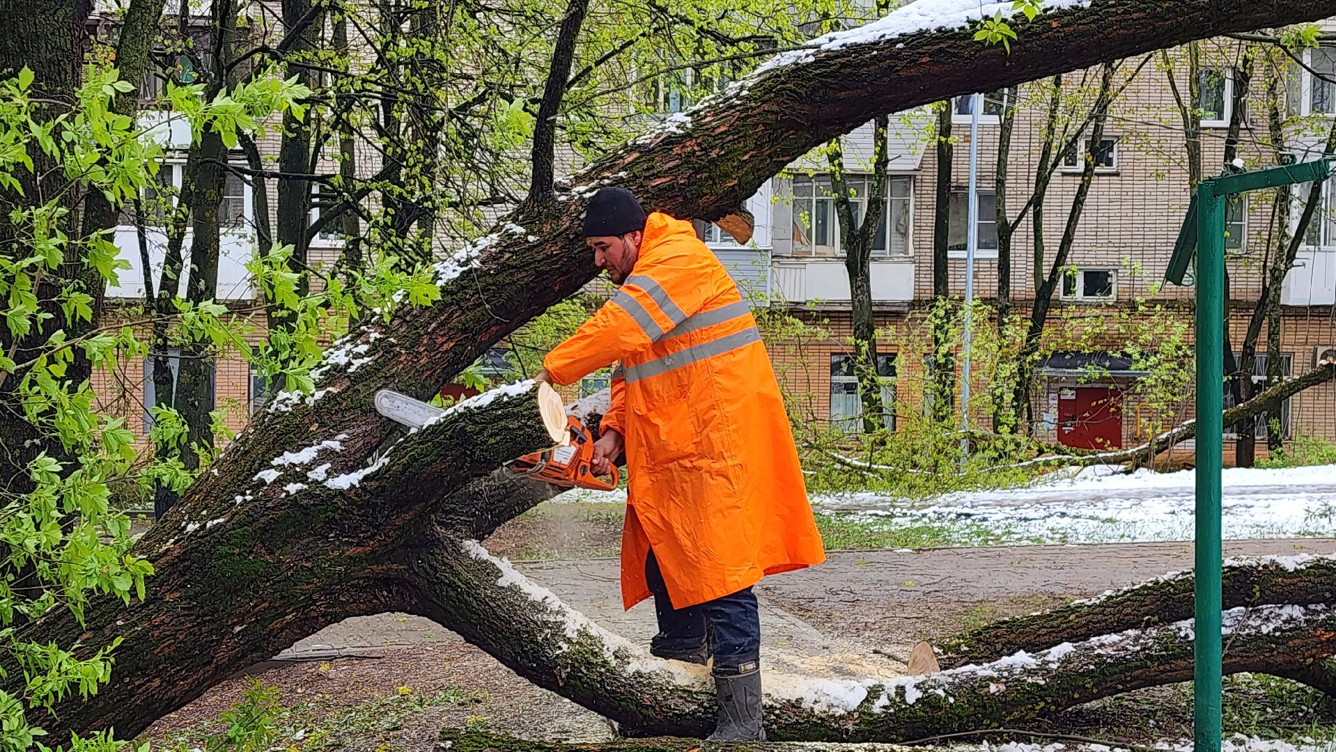 истра, благоустройство, коммунальная служба,
