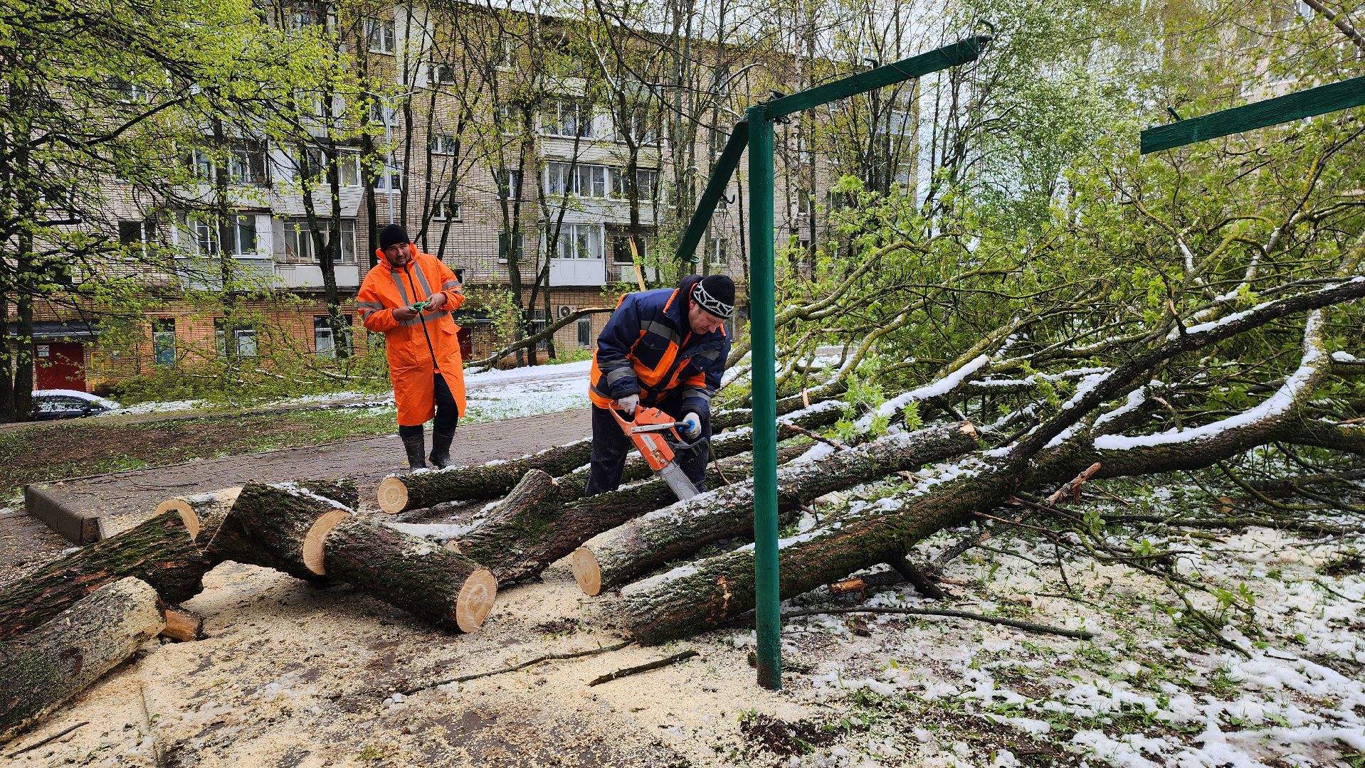 истра, благоустройство, коммунальная служба,