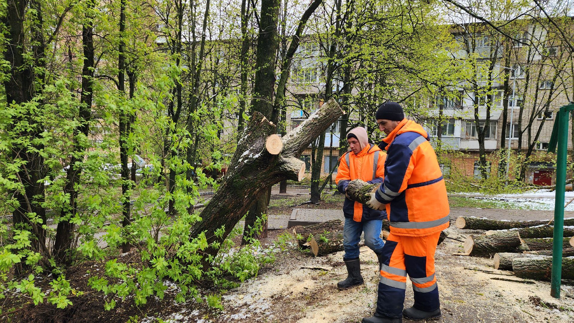 истра, благоустройство, коммунальная служба,