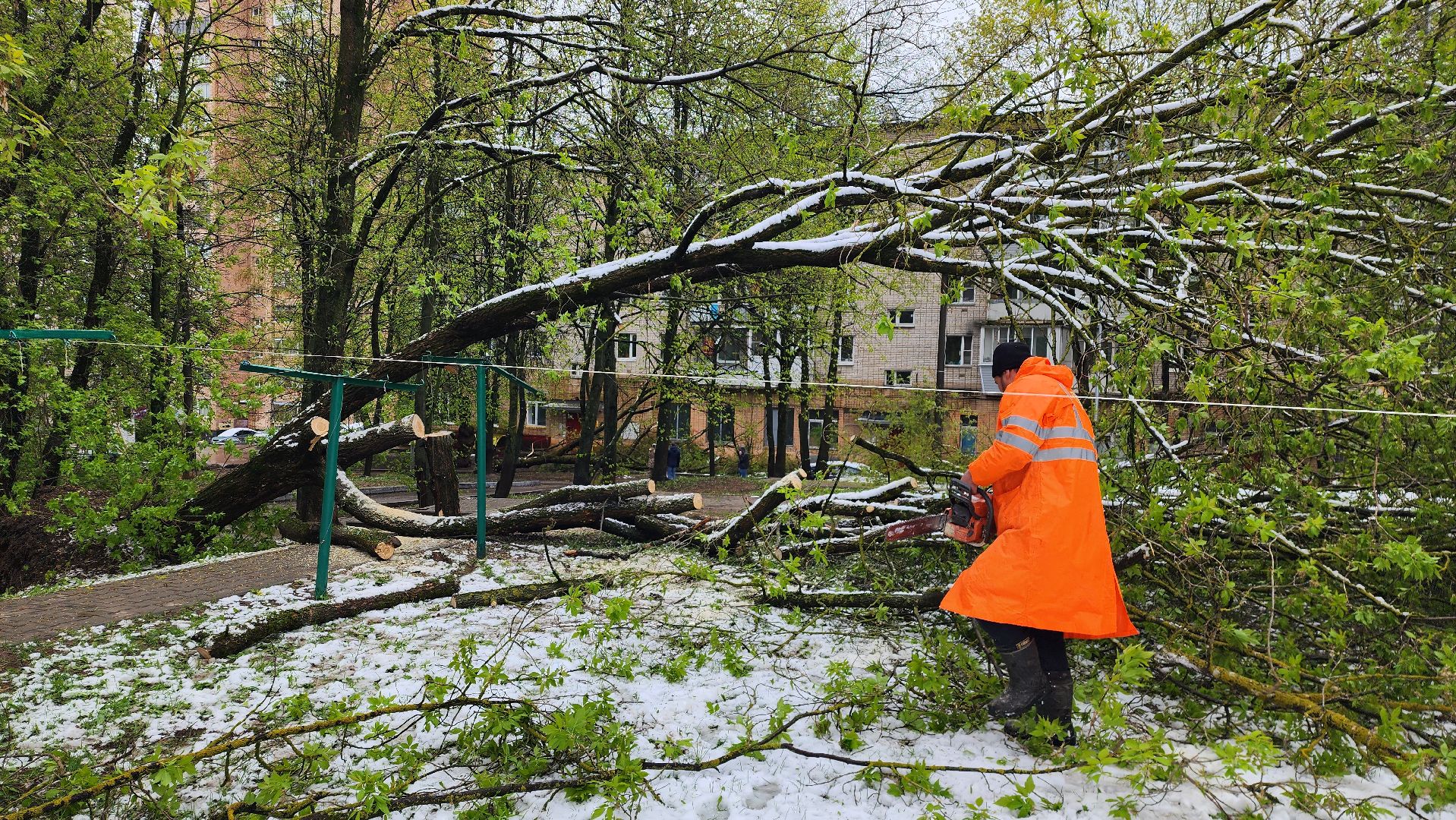 истра, благоустройство, коммунальная служба,